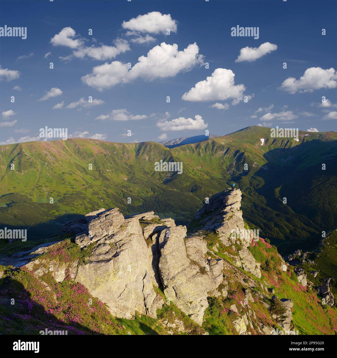Paesaggio estivo con rocce in montagna. Mattina di sole Foto Stock