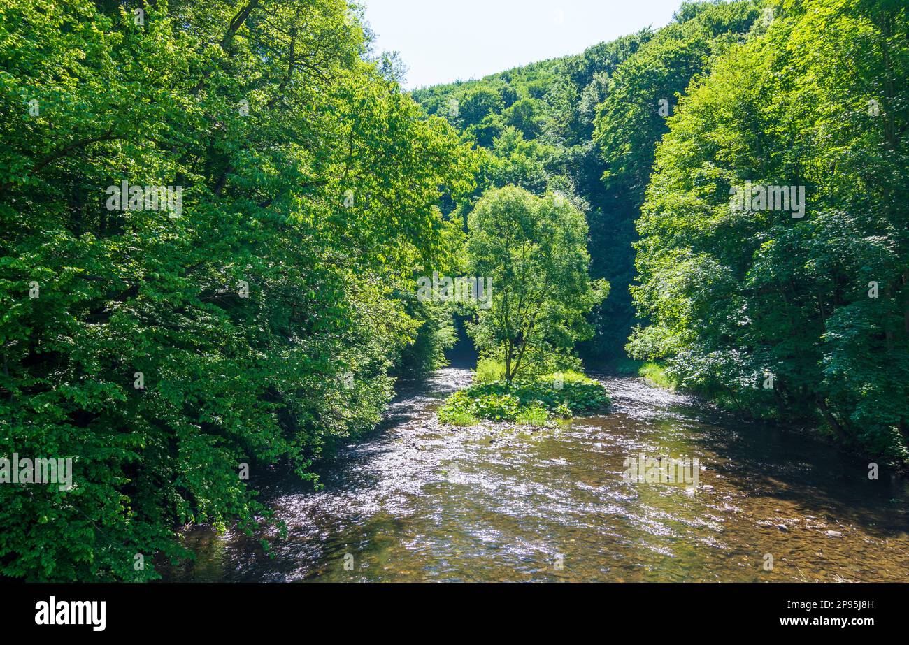 Janske Kooupele (Bad Johannisbrunn), fiume Moravice (Mohra) a Moravskoslezsky, regione Moravo-Slesia, regione Mährisch-schlesische, ceco Foto Stock