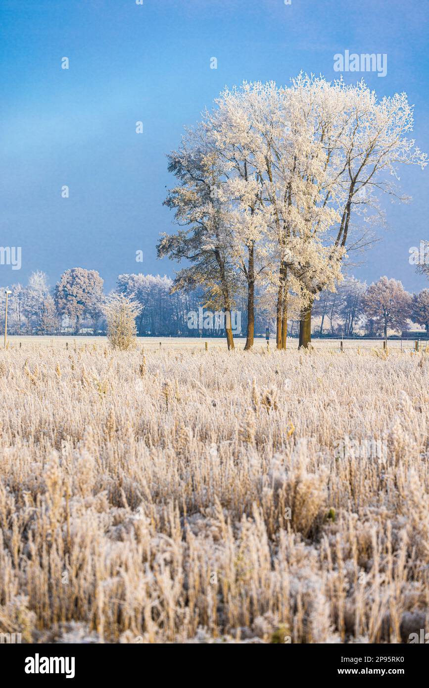 Paesaggi culturali in inverno, impressioni invernali Foto Stock