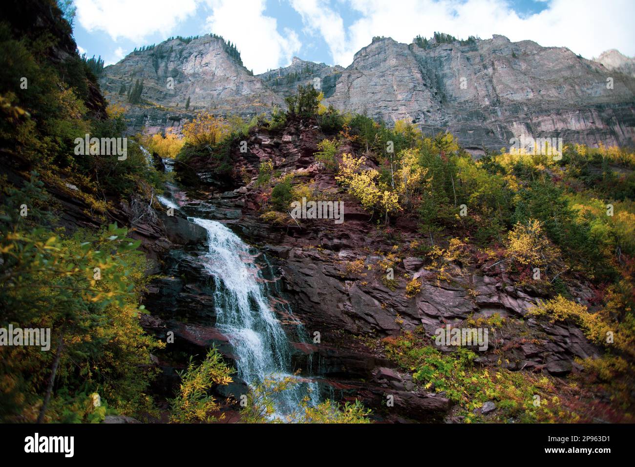 Cascate Lower Bridal Veil. Paesaggio delle cascate visto dal Black Bear Pass switchbacks sul sentiero Bridal Veil Falls, fuori Telluride, Colorado Foto Stock