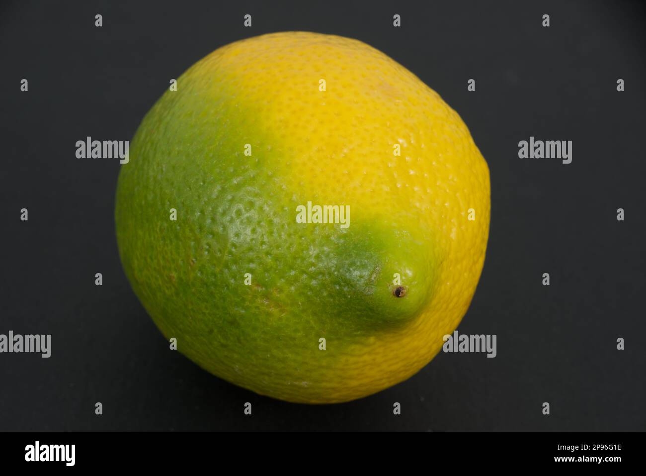 Un limone mezzo verde e mezzo giallo, come se non fosse in grado di decidere cosa sia. Foto Stock