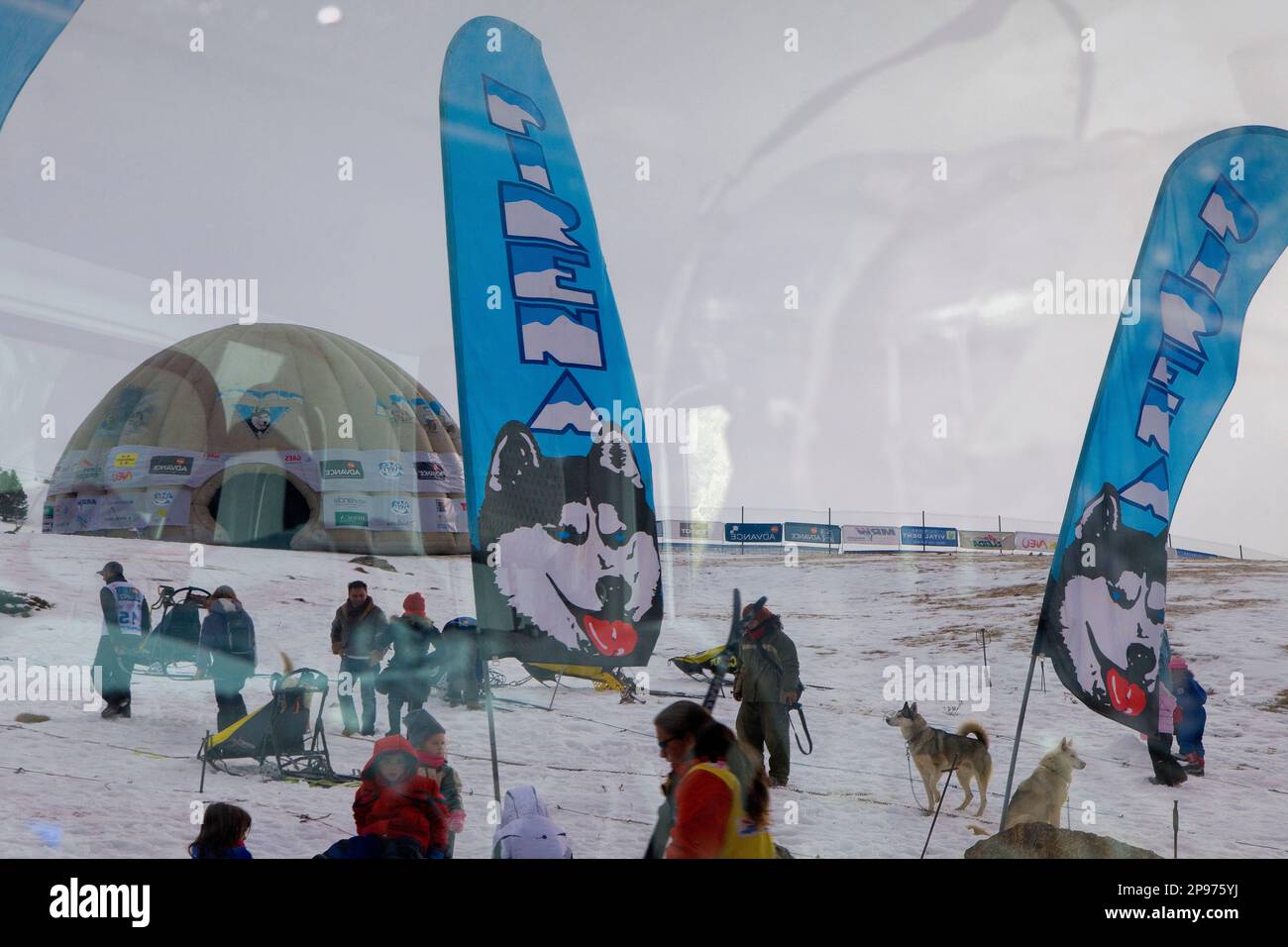 Pirena. Sled Dog Race nei Pirenei passando attraverso la Spagna, Andorra e la Francia. La Molina. La provincia di Girona. La Catalogna. Spagna Foto Stock