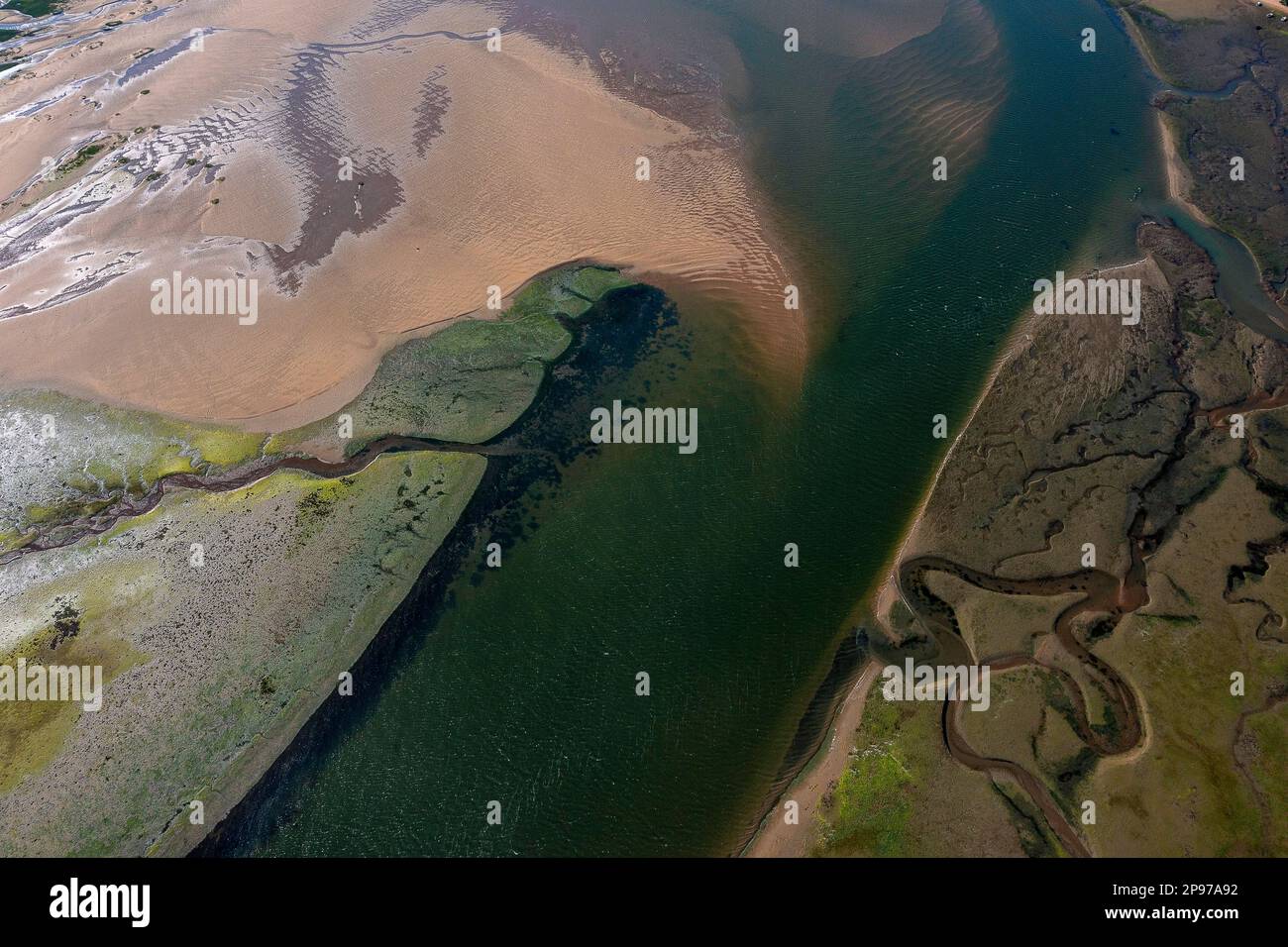 Riserva della biosfera dell'estuario di Urdaibai, estuario del fiume Oka, regione di Gernika-Lumo, provincia di Biscay, Paesi Baschi, Spagna Foto Stock