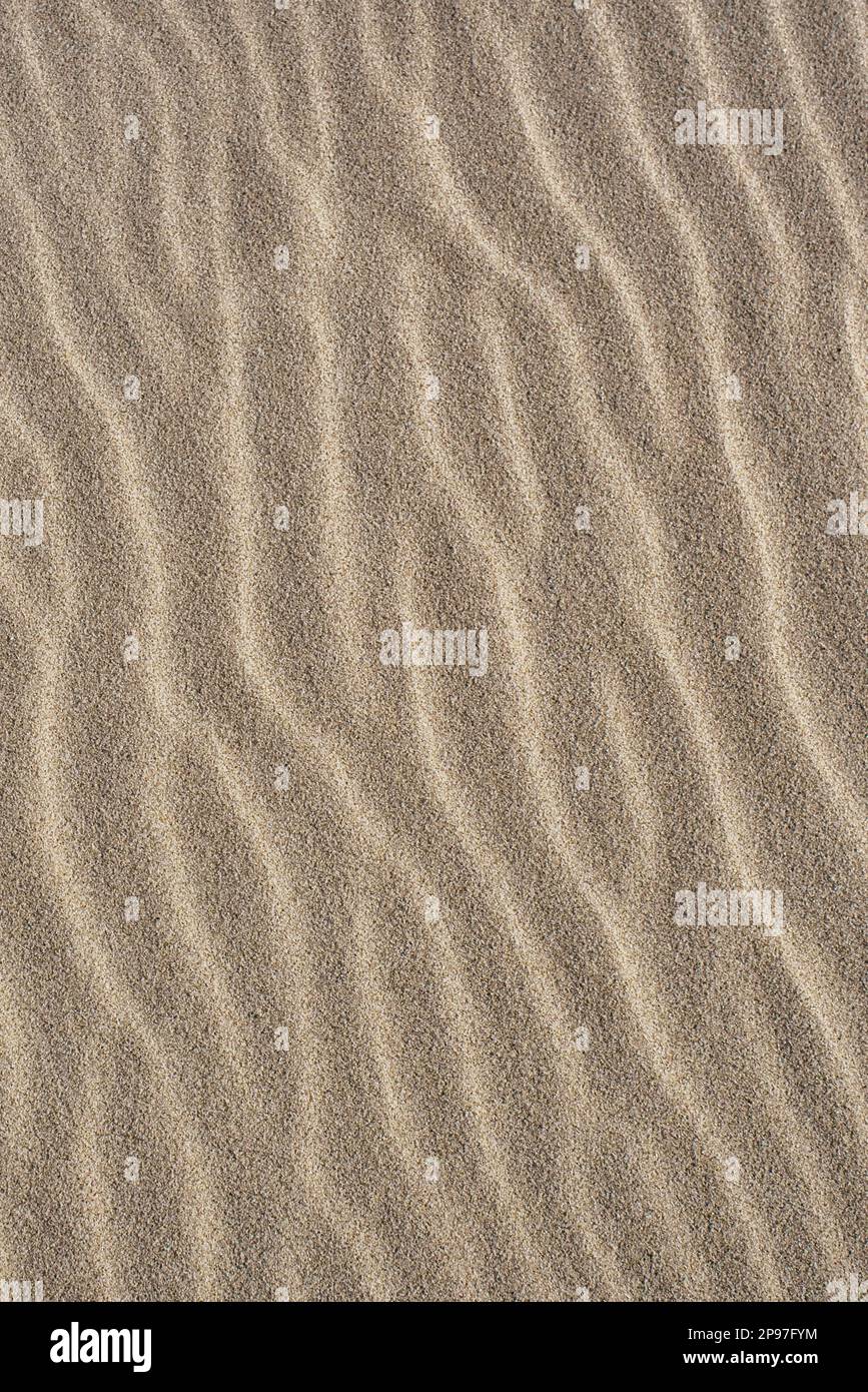 trovato sulla costa Foto Stock