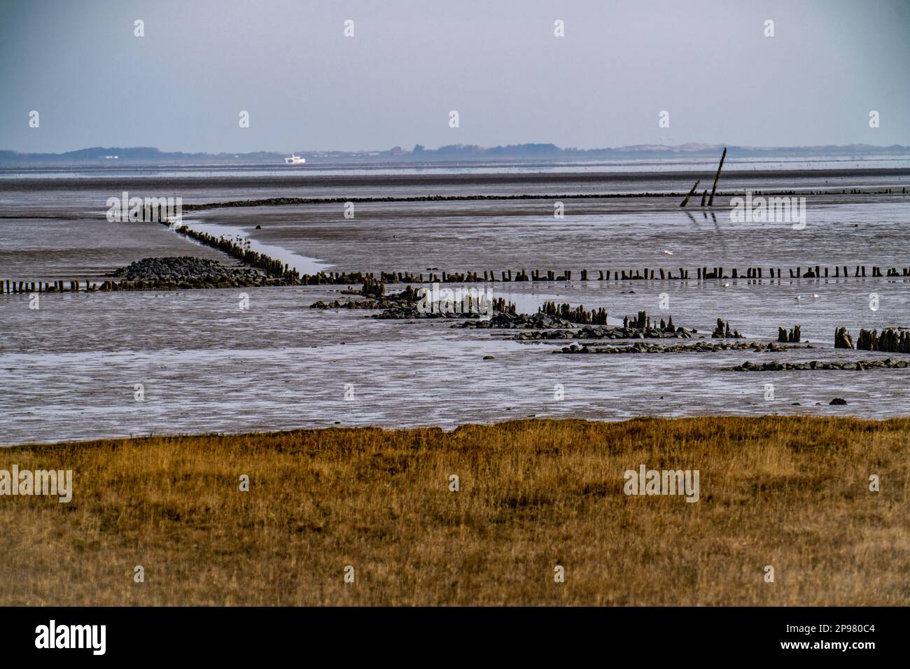 Il Mare di Wadden, Frisia orientale, vicino alla bassa Sassonia, vista sull'isola di Norderney, Norddeich, Germania Foto Stock