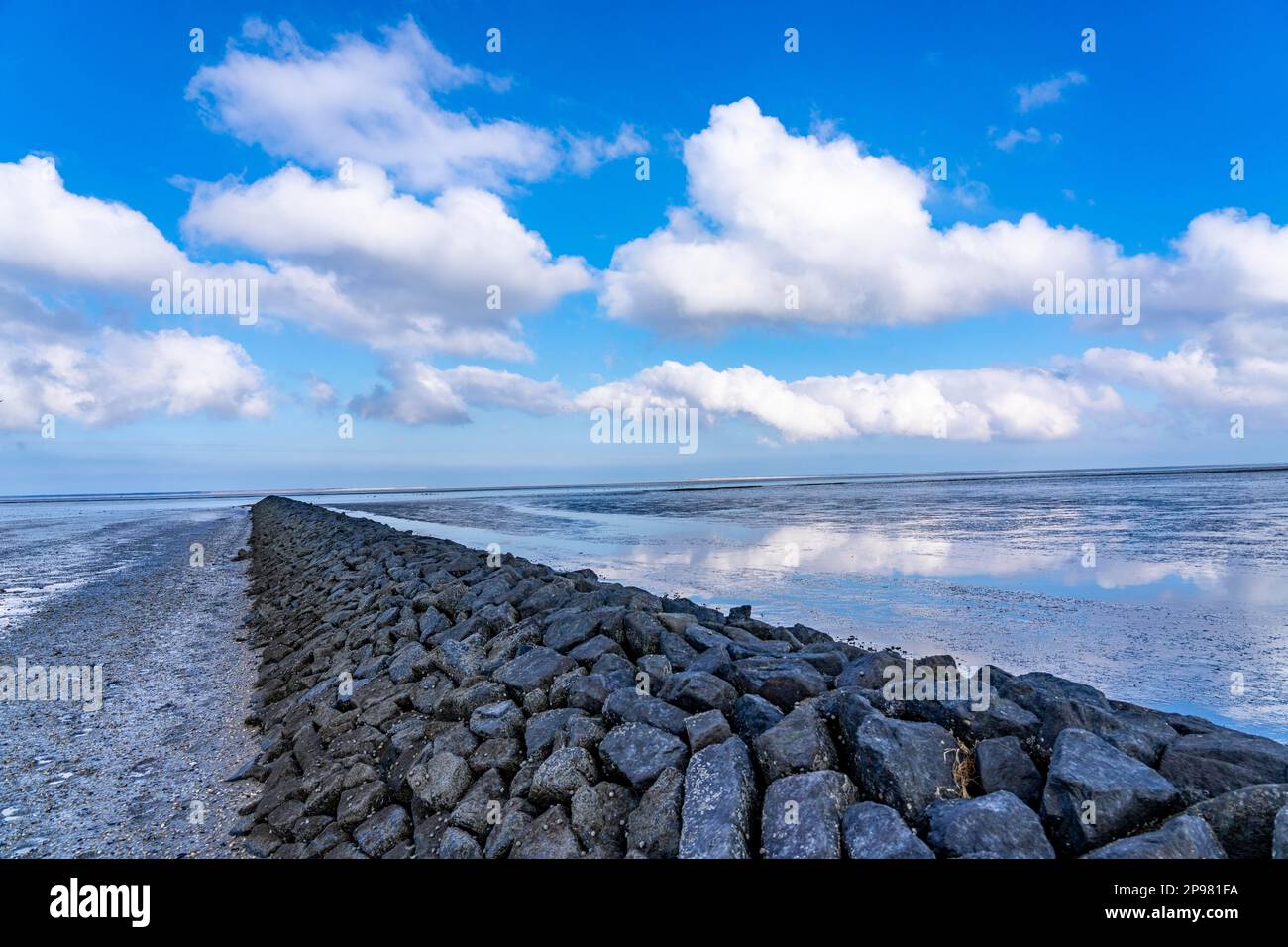 Il Mare di Wadden, Frisia orientale, tra Bensersiel e Neuharlingersiel, frangiflutti dietro la diga, bassa Sassonia, scale, Germania Foto Stock