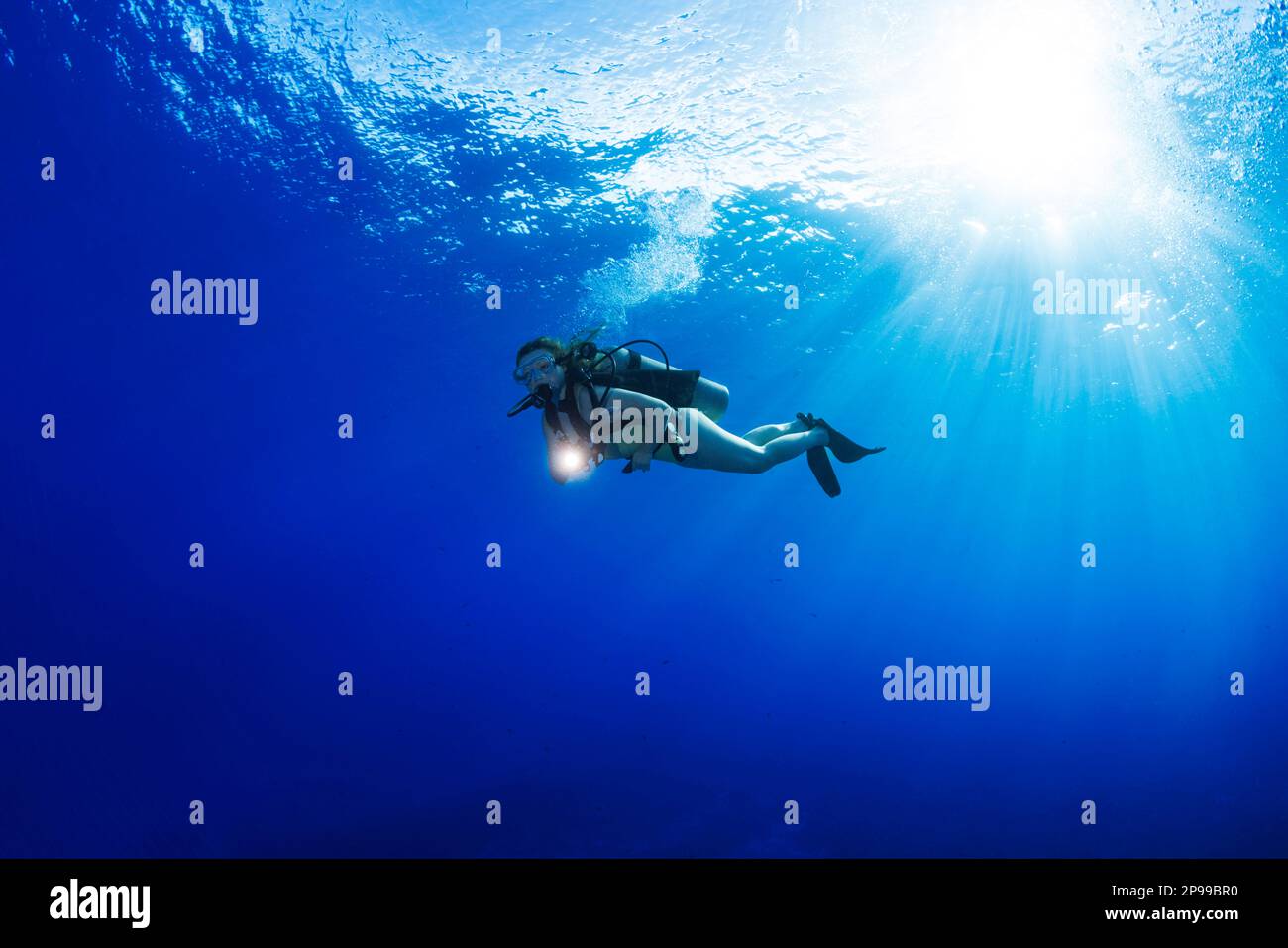 Tuffatore (MR) con una luce e raggi di sole che splendono attraverso la superficie al largo dell'isola di Maui, Hawaii. Foto Stock