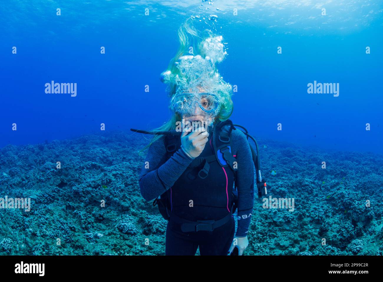 Subacqueo (MR) raffigurato con grandi occhi e bolle che guardano scomodo sott'acqua su una dura barriera corallina al largo dell'isola di Maui, Hawaii. Foto Stock