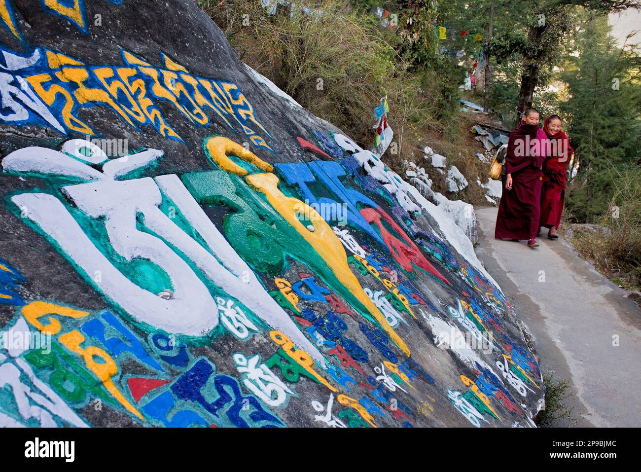 Iscrizioni su pietre di preghiera scolpite in Lhagyal Ri, vicino al complesso di Tsuglagkhang, McLeod Ganj, Dharamsala, Himachal Pradesh stato, India, Asia Foto Stock