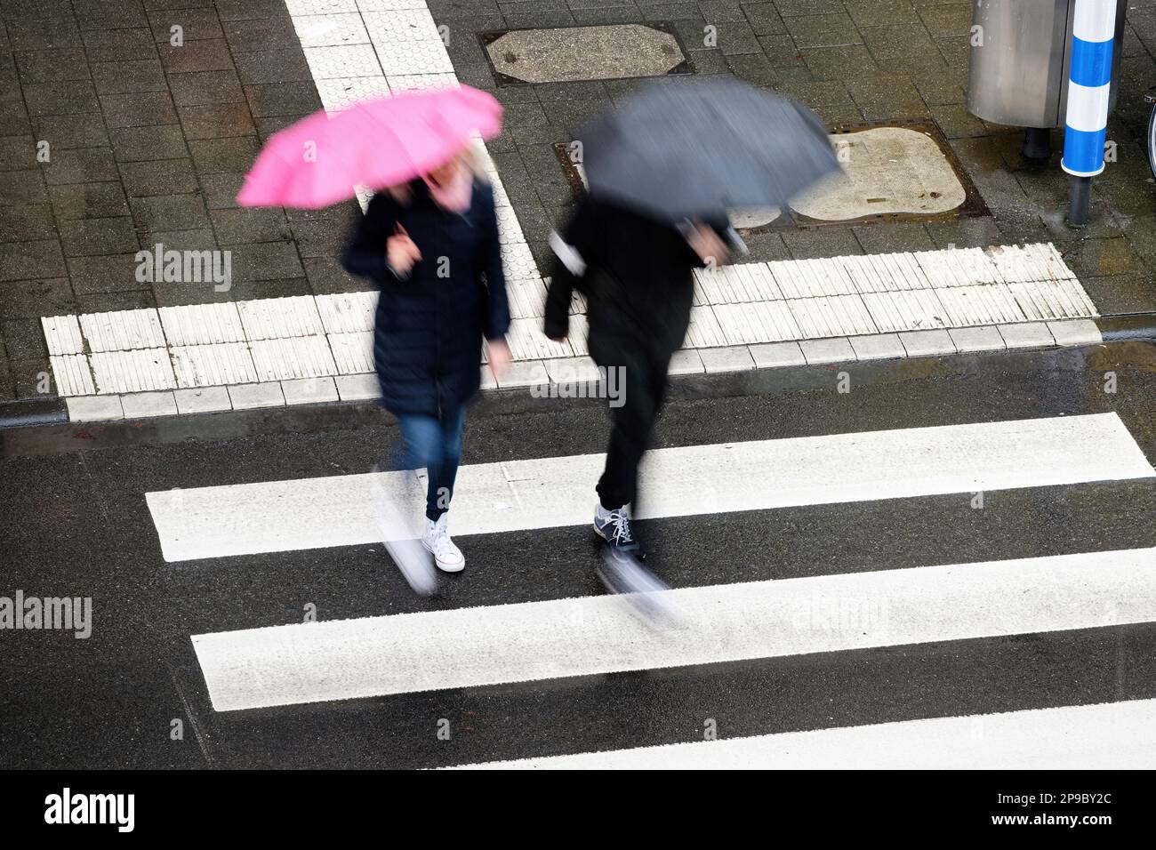 sfocatura dei movimenti di due pedoni con ombrelli neri e rosa che attraversano un crosswalk sotto la pioggia Foto Stock