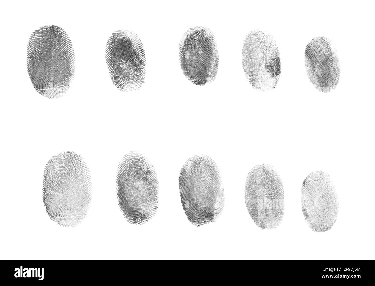 Molte impronte digitali nere con inchiostro su sfondo bianco, vista dall'alto Foto Stock