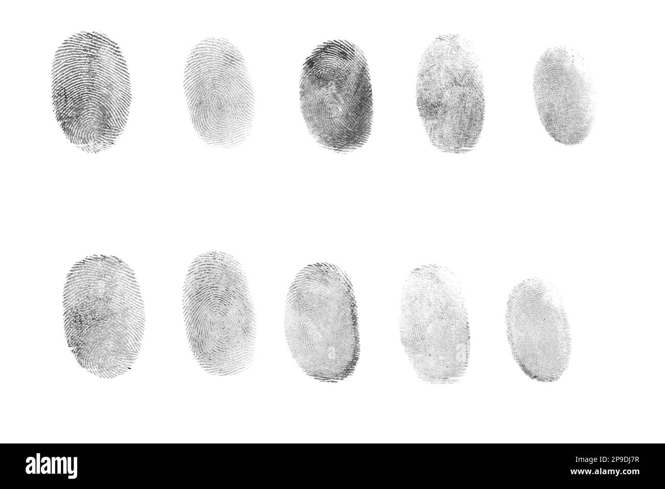 Molte impronte digitali nere con inchiostro su sfondo bianco, vista dall'alto Foto Stock