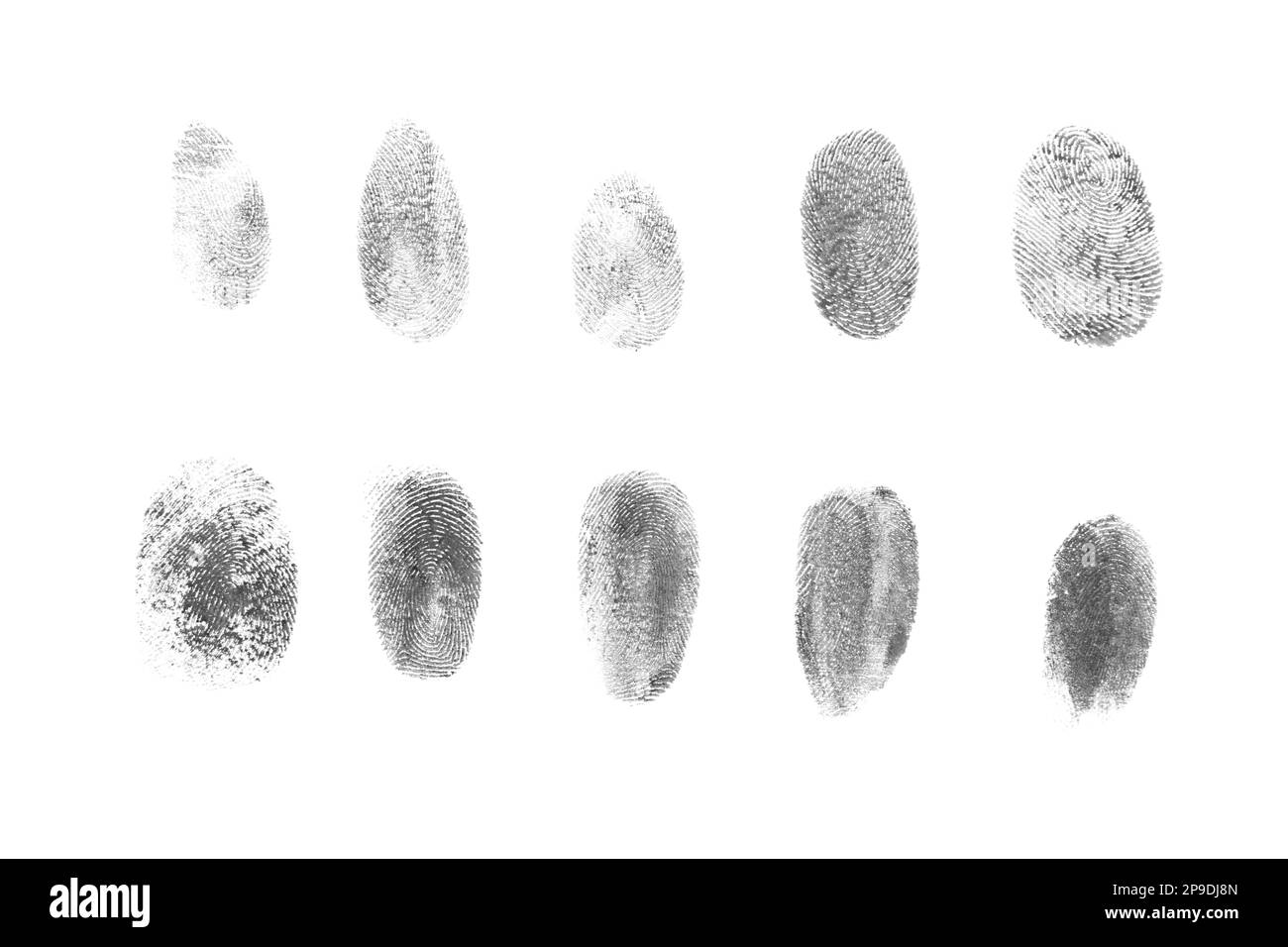 Molte impronte digitali nere con inchiostro su sfondo bianco, vista dall'alto Foto Stock