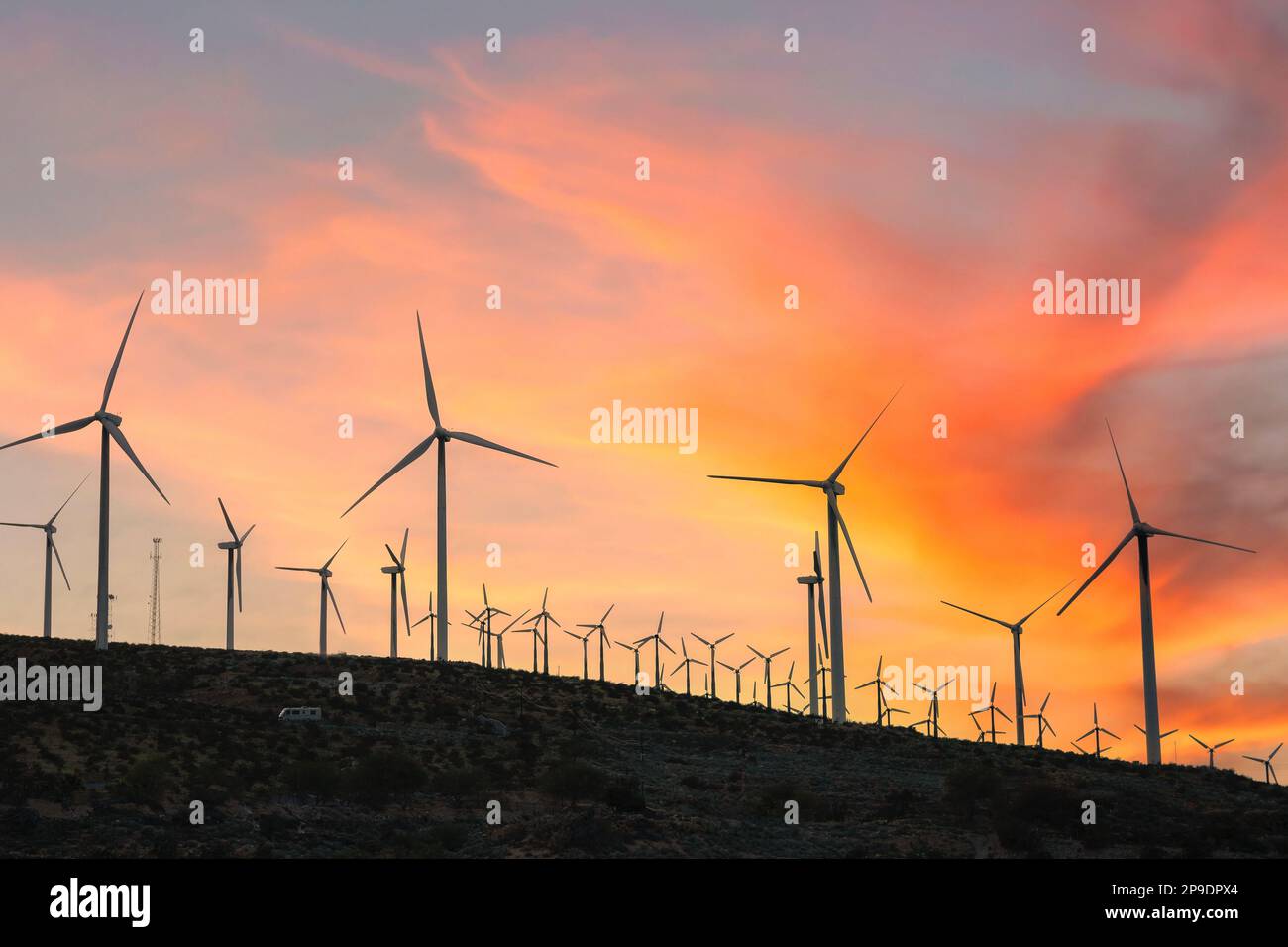 Mulini a vento al tramonto in California Foto Stock
