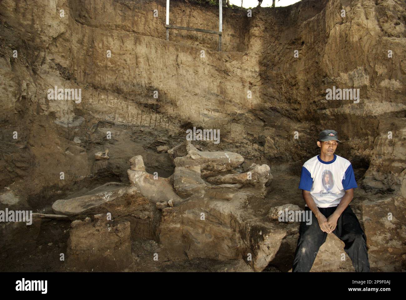 Un villager è fotografato presso il sito di scavo di ossa fossilizzate di una specie di elefante estinto scientificamente identificata come Elephas hysudrindicus, o popolarmente chiamato 'elefante di Blora', a Sunggun, Mendalem, Kradenan, Blora, Giava centrale, Indonesia. A seguito di un'indagine condotta da un abitante del villaggio, un team di scienziati della ricerca sui vertebrati (Agenzia geologica, Ministero indonesiano dell'energia e delle risorse minerarie) guidati da Iwan Kurniawan e Fachroel Aziz ha condotto uno scavo e ha scoperto quasi interamente le ossa della specie (circa il 90% completo) che in seguito permetterebbe loro di costruire un... Foto Stock