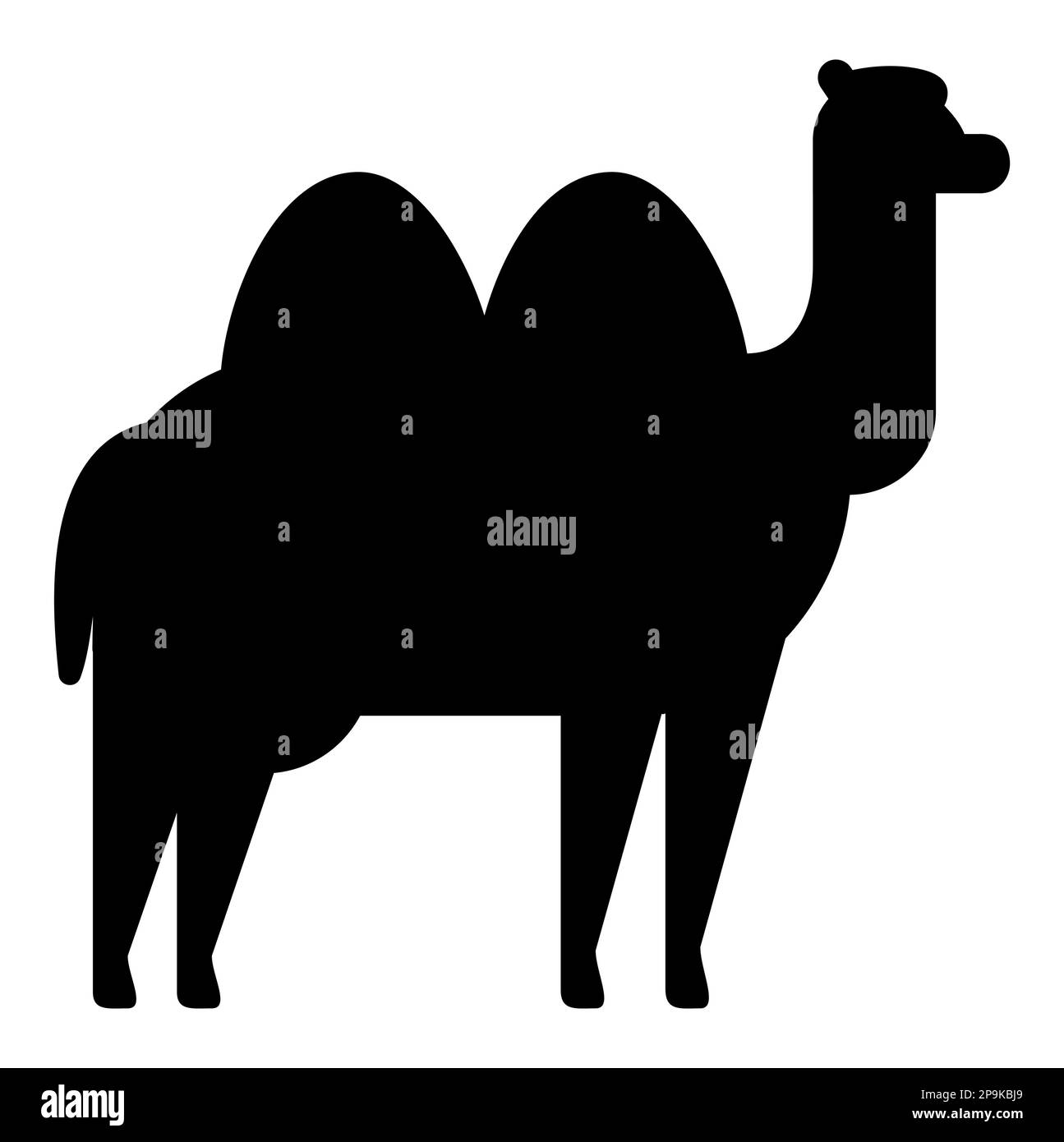 Cammello piatto icona silhouette. Illustrazione del vettore animale. Illustrazione Vettoriale