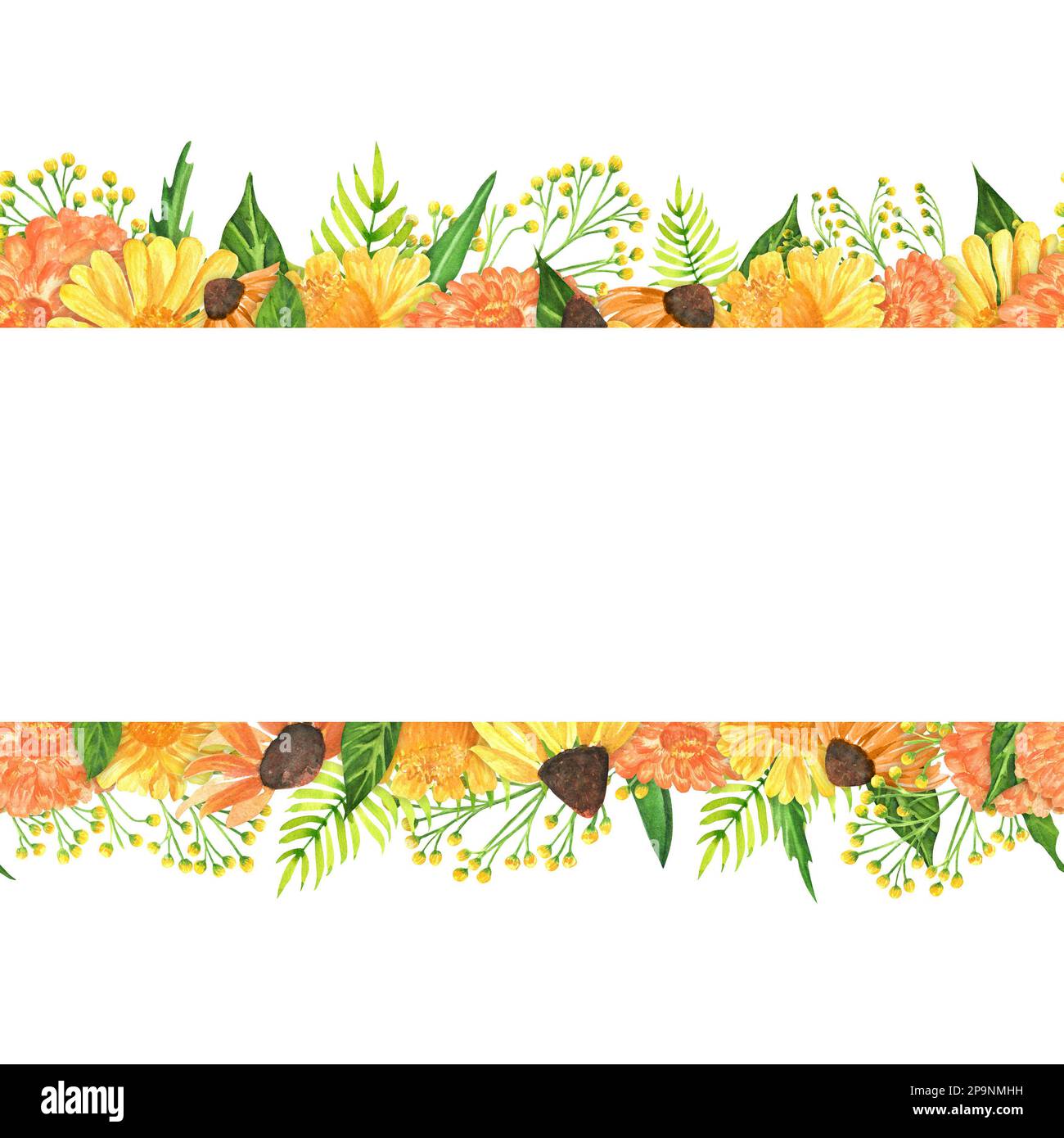 Bordi acquerelli disegnati a mano con fiori da giardino: zinnia, fiori di conifere, goldenota e felce. Una piccola parte del grande giardino DEGLI UCCELLI set Foto Stock