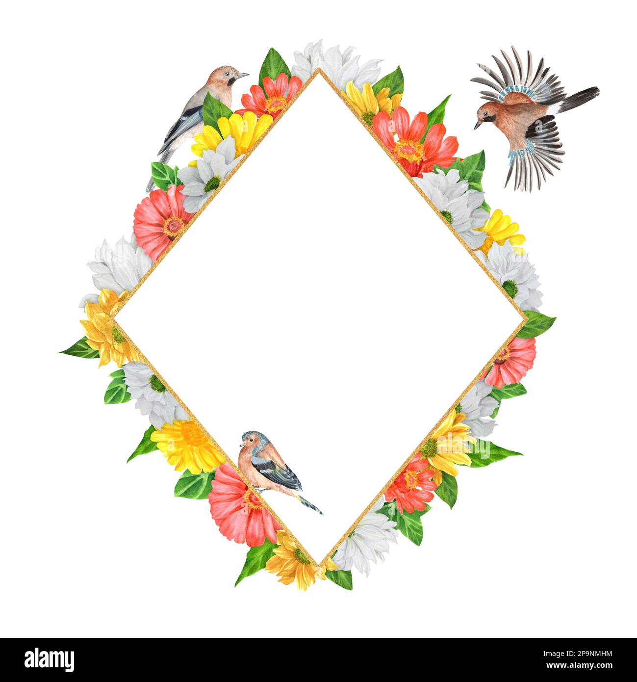 Composizione acquerello disegnata a mano. Telaio rombo con crisantemo e zinnia fiori e uccelli. Una piccola parte del grande giardino DEGLI UCCELLI set Foto Stock