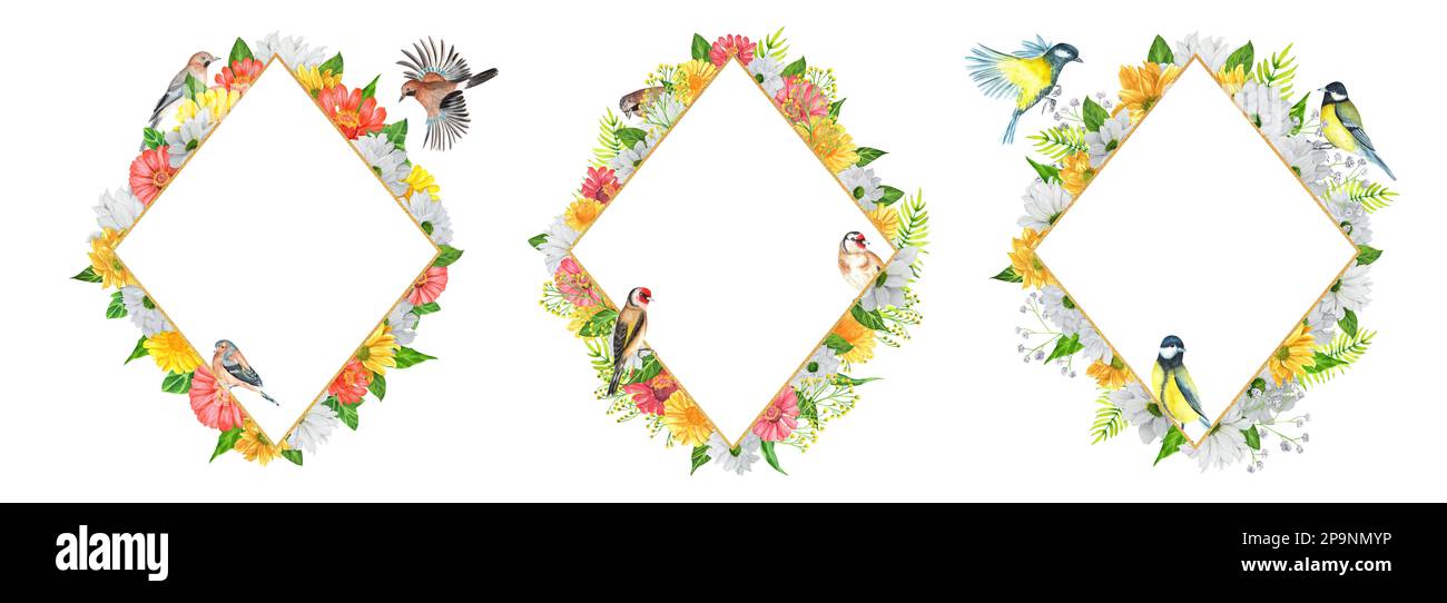 Tre composizioni di acquerello disegnate a mano. Cornici di rombo con crisantemo e fiori e uccelli di zinnia. Una piccola parte del grande giardino DEGLI UCCELLI set Foto Stock