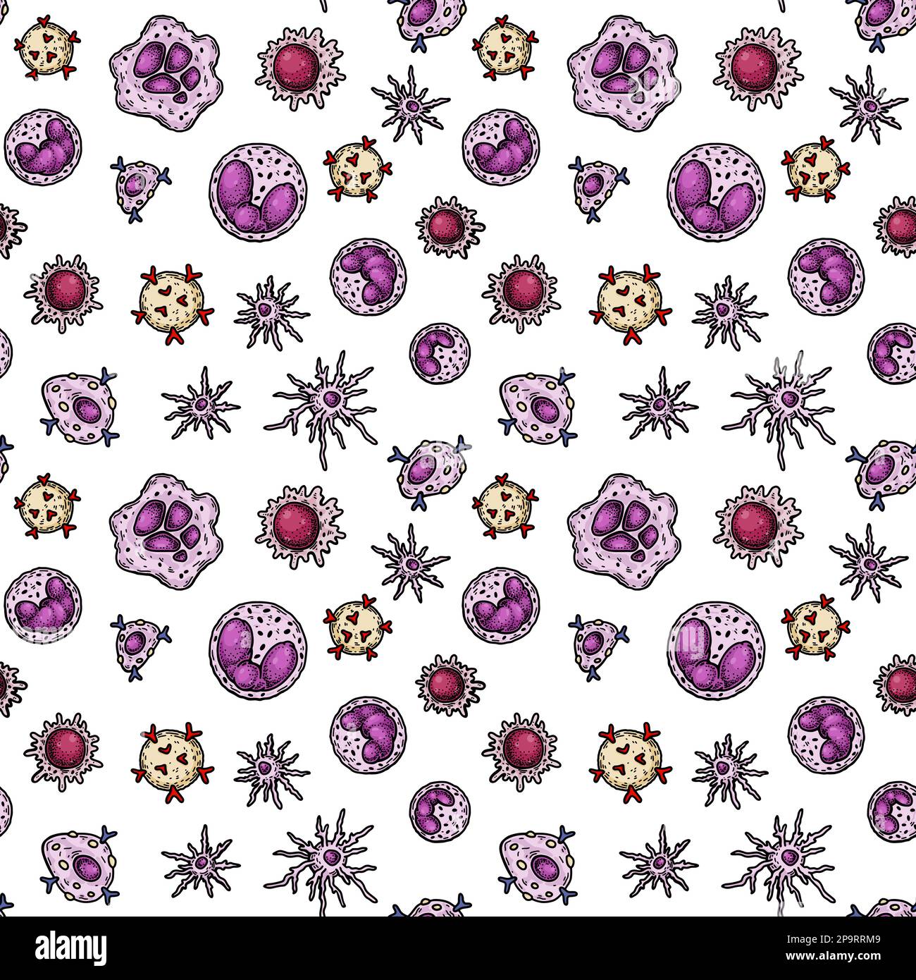 Batteri e virus senza giunture. Illustrazione vettoriale scientifica nello stile di schizzo. Sfondo Doodle Illustrazione Vettoriale