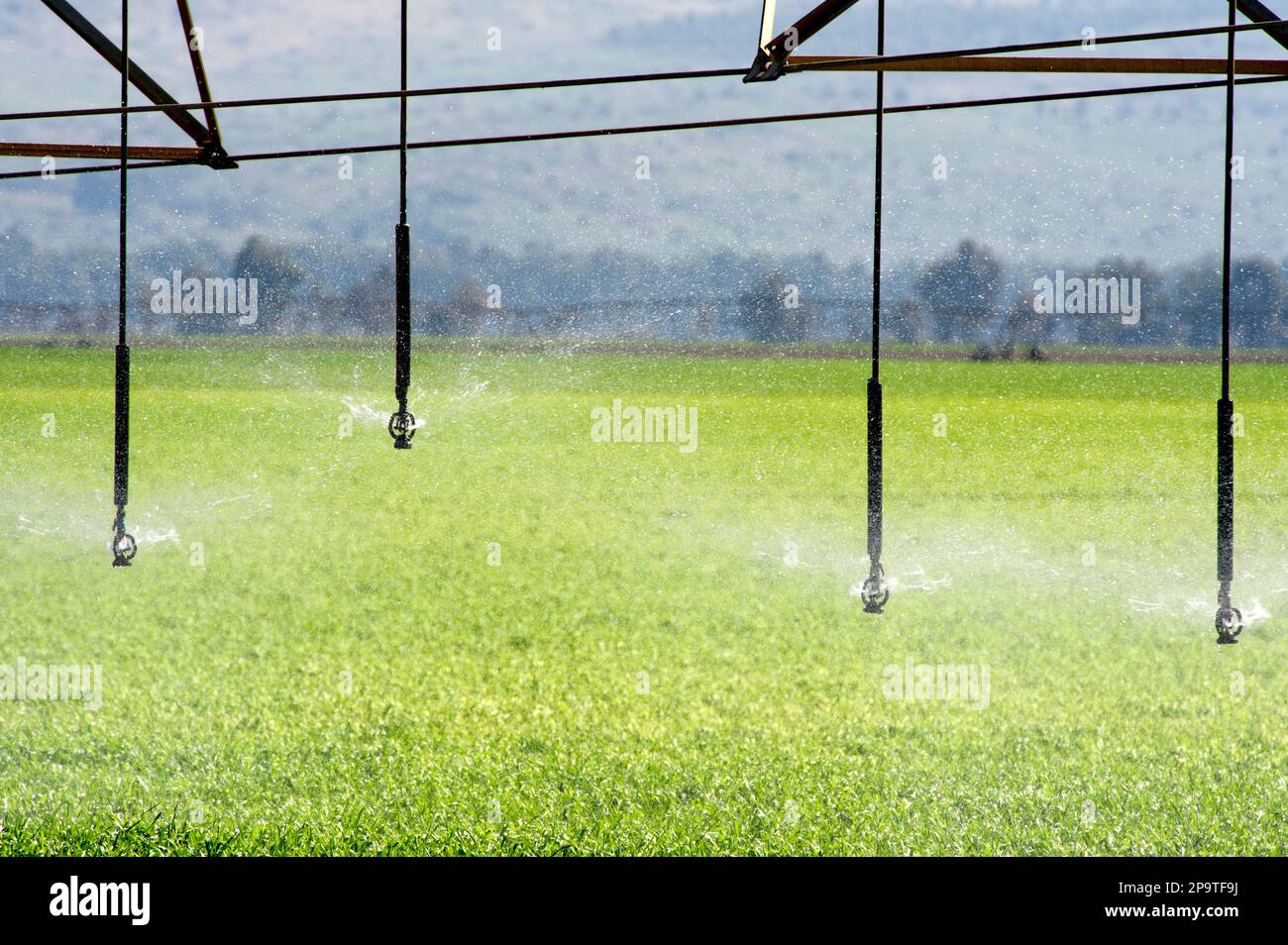 sistema di irrigazione di campo agricolo in azione Foto Stock