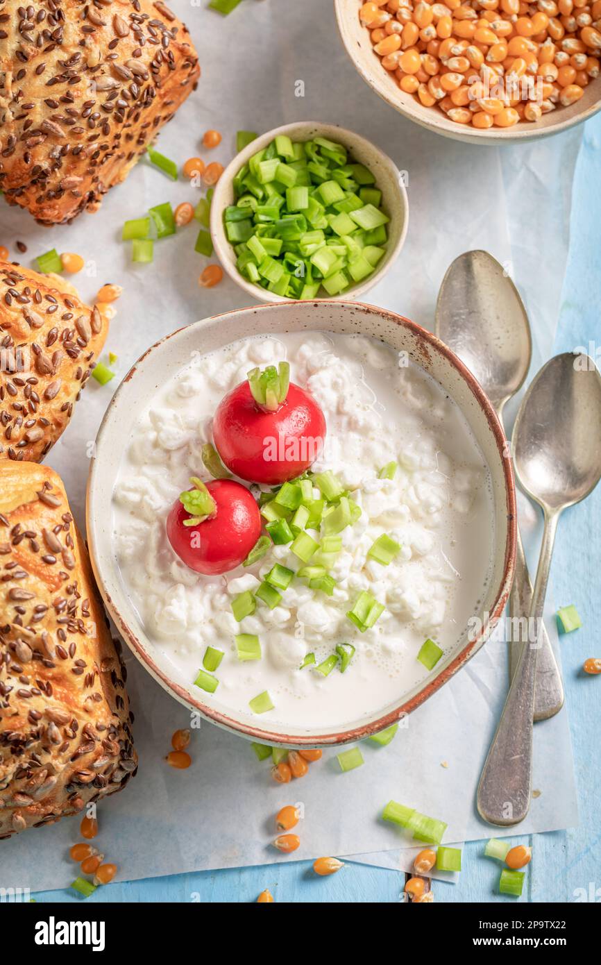 Panino di mais gustoso e primaverile con ravanello e formaggio di ricotta. BUN come sandwich primaverile con verdure. Foto Stock