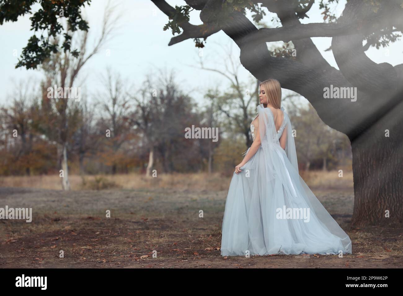 Bella ragazza vestito da fata vicino a alberi alti all'aperto Foto Stock