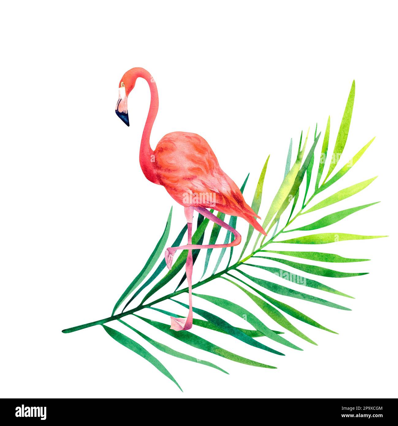 Fenicottero rosa e ramo di palma. Illustrazione acquerello. Verniciatura interna. Uccelli tropicali. Uccelli esotici Foto Stock