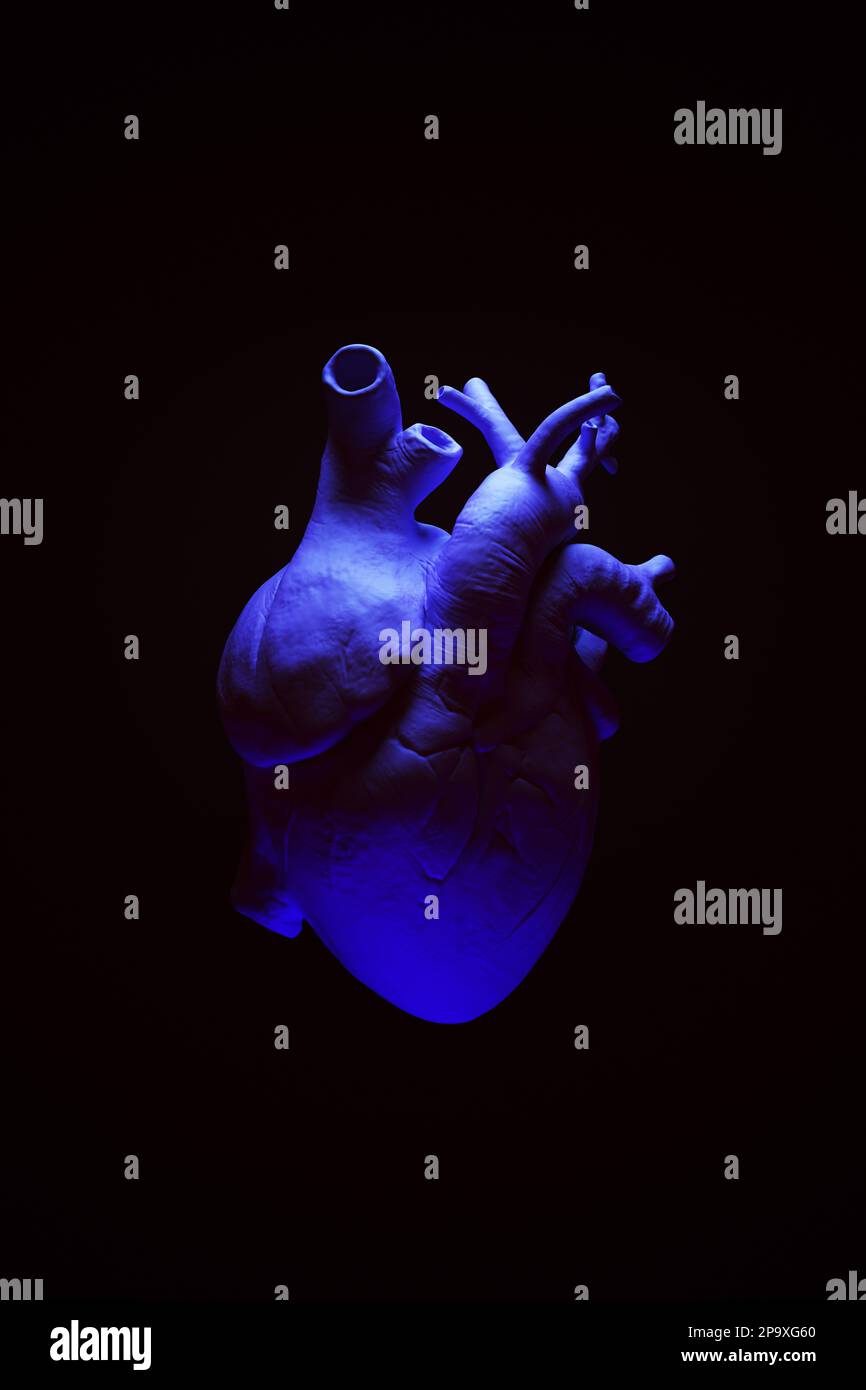 Rappresentazione dell'illustrazione del modello 3D anatomico grande del cuore umano viola Foto Stock