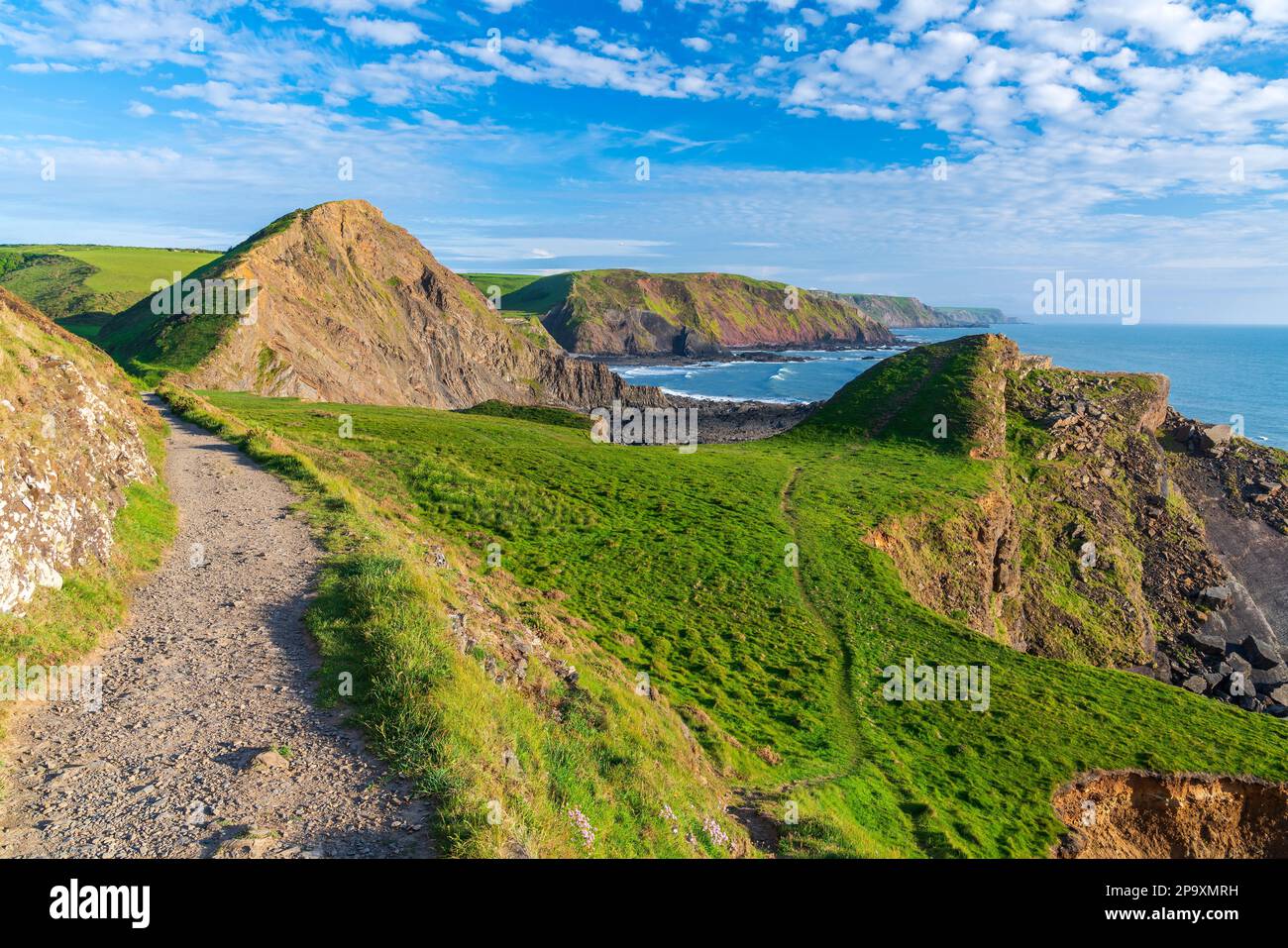 Hartland Quay, Devon, Inghilterra, Regno Unito, Europa Foto Stock