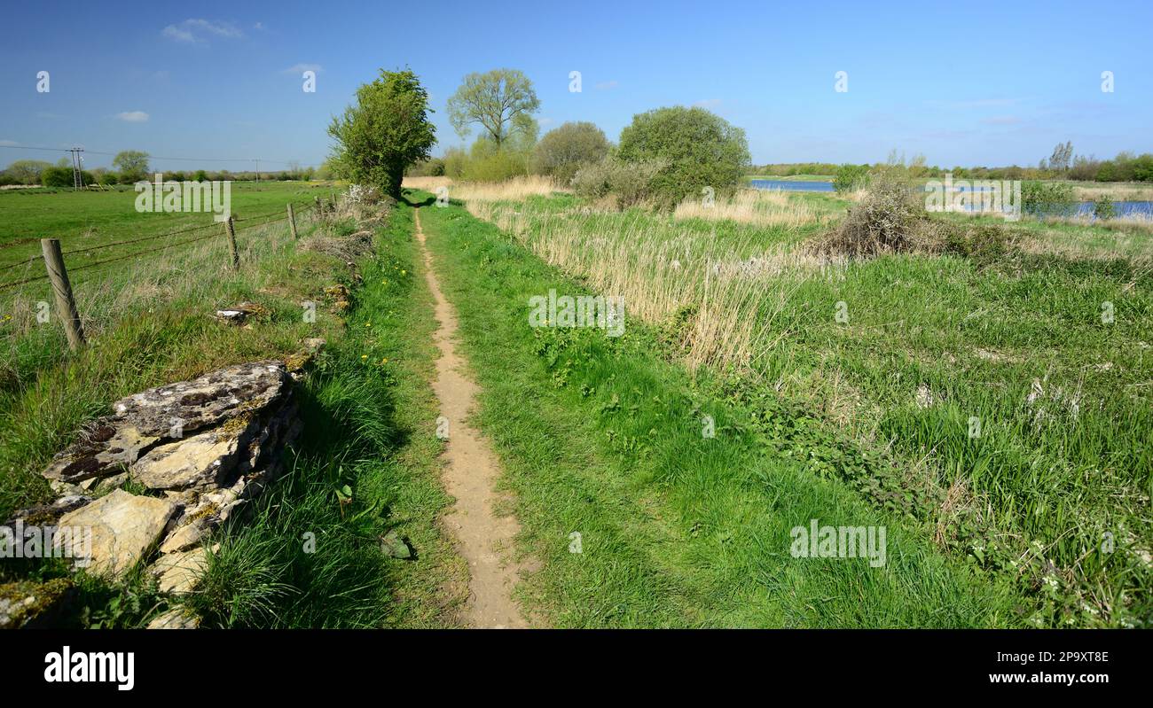 Un sentiero pubblico lungo un alzaia canale in disuso nel Gloucestershire. Foto Stock