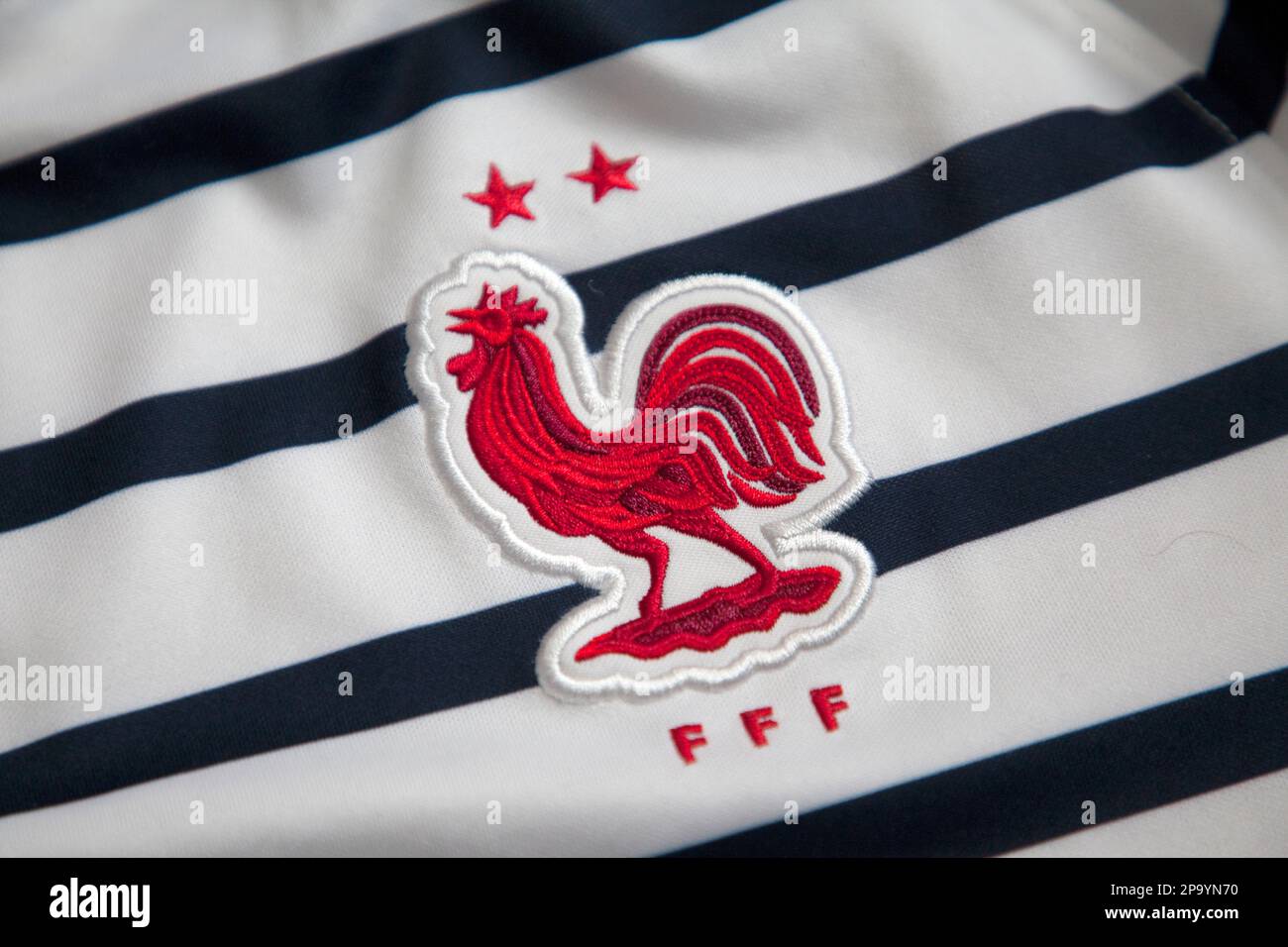 Gallo gallico gallo (coq gaulois) logo nazionale francese Foto Stock