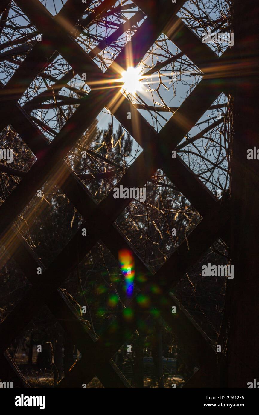 Il sole attraverso gli alberi. Un bellissimo parco in primavera con il sole luminoso che si infrange tra gli alberi, il sole che si infrange tra gli alberi. Foto Stock