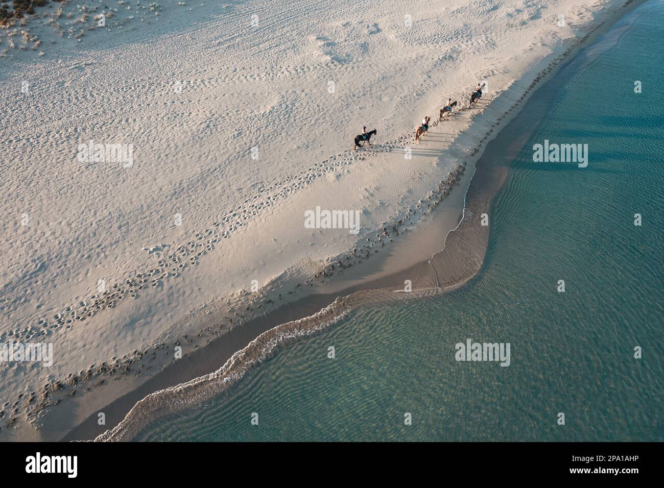 Passeggiate a cavallo sulla spiaggia Foto Stock