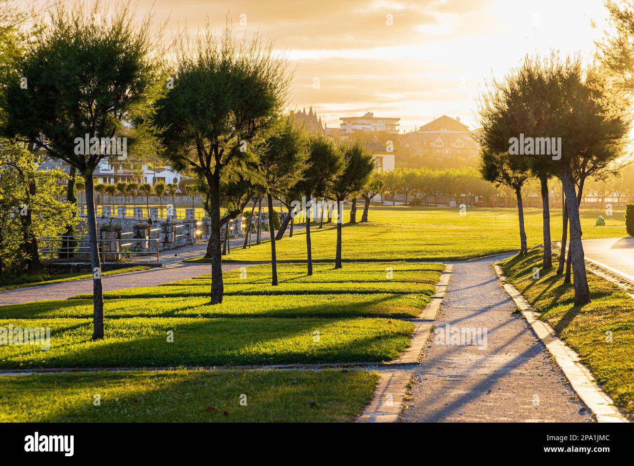 Alberi e passerelle nella penisola di Magdalena retroilluminazione del parco pubblico naturale durante il tramonto. Santander, Cantabria, Spagna. Foto Stock