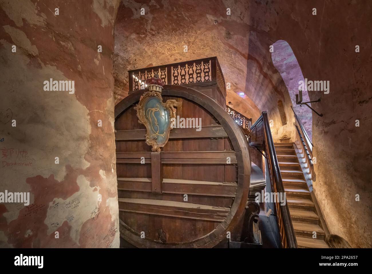 Heidelberg Tun - Grande barile di vino alle cantine del castello di Heidelberg - Heidelberg, Germania Foto Stock