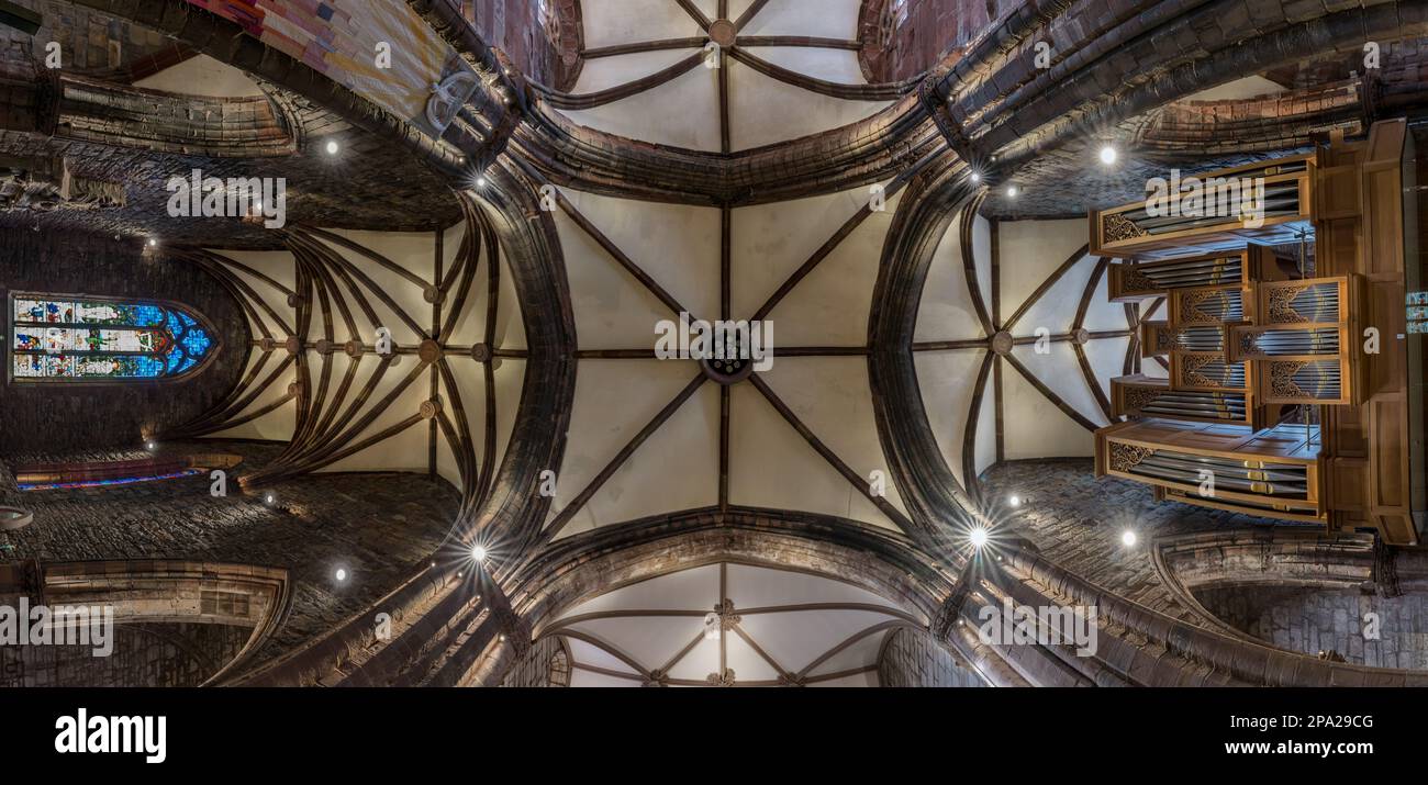 Panorama interno del soffitto del transetto e dell'organo, la chiesa parrocchiale di St Mary, Haddington, East Lothian, Scozia, Regno Unito Foto Stock