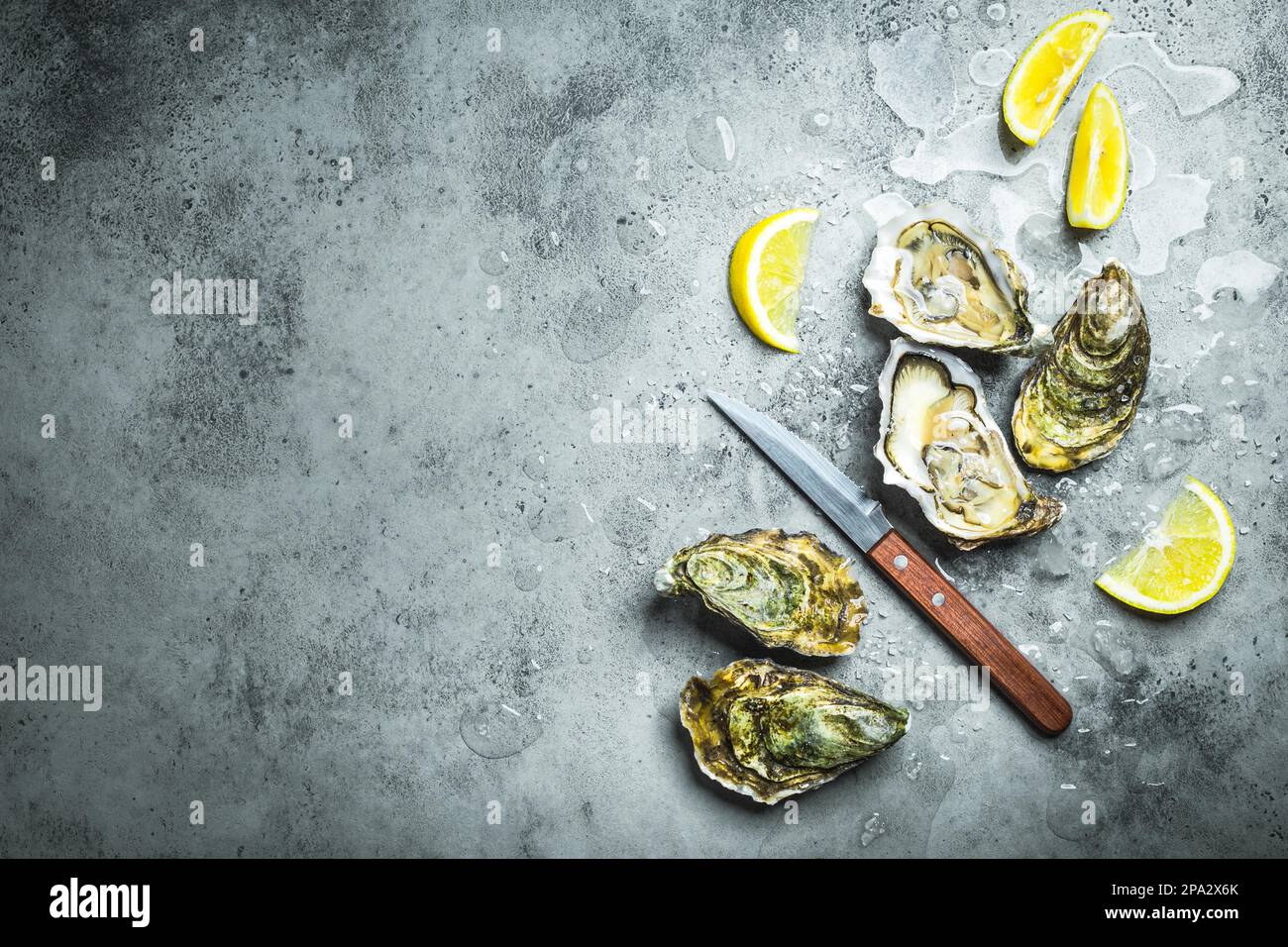 Ostriche fresche su ghiaccio, coltello, spicchi di limone. Sfondo rustico in pietra. Ostriche fresche aperte. Vista dall'alto. Spazio di copia. Bar Oyster. Frutti di mare. Ostriche Foto Stock