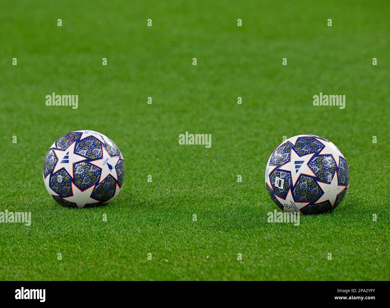 Palla ufficiale Adidas UCL PRO CL, si trova sull'erba, Champions League match, Allianz Arena, Monaco, Bayern, Germania Foto Stock