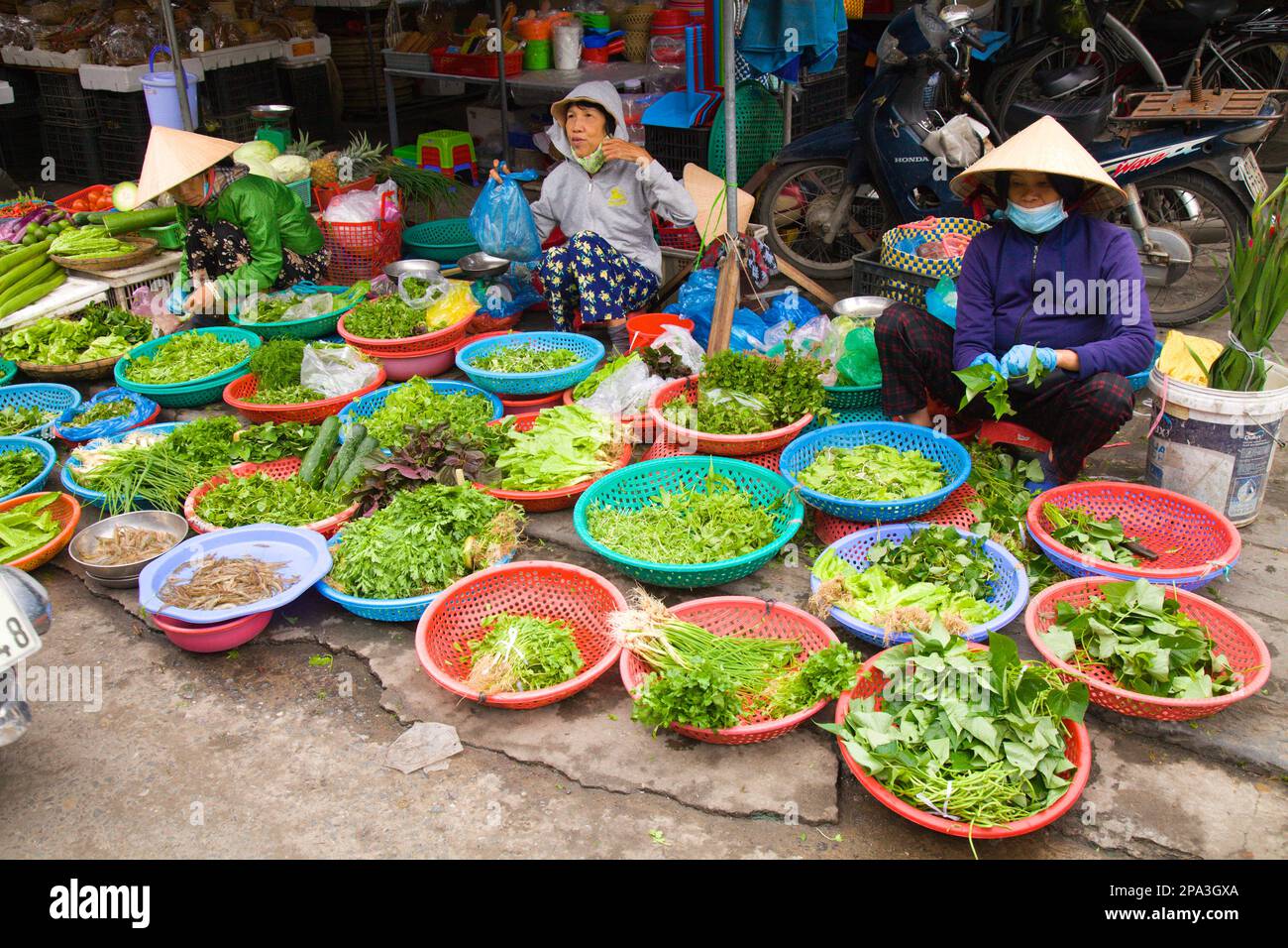 Vietnam, Hoi An, mercato, produzione, frutta, persone, Foto Stock