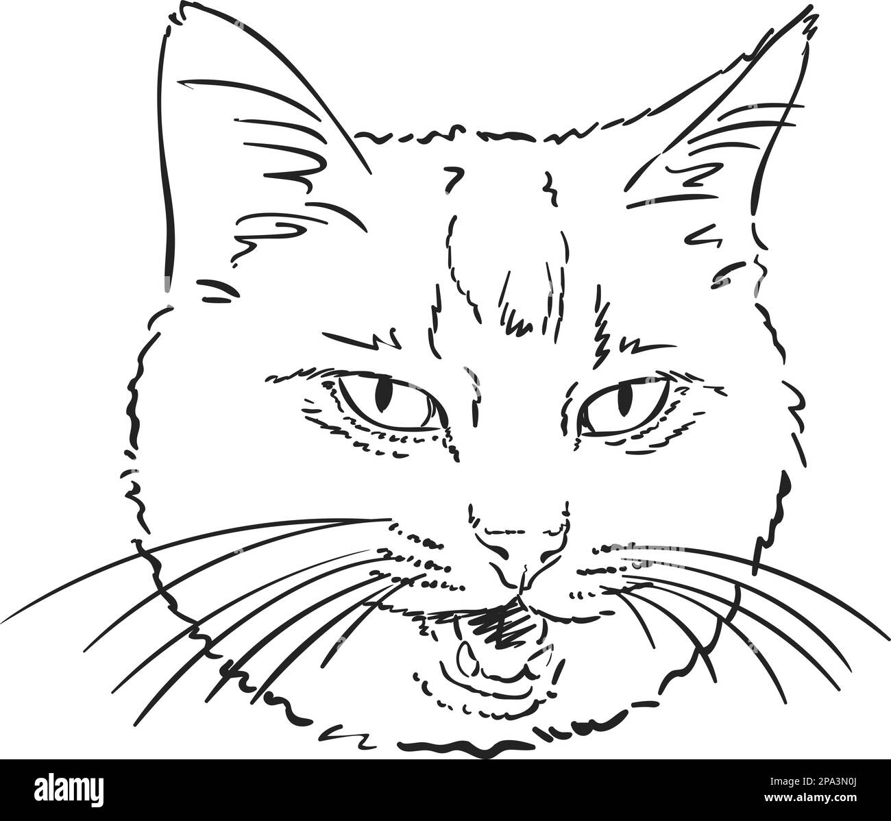 Schizzo della testa di gatto con bocca aperta e lunghi whiskers, illustrazione vettoriale disegnata a mano Illustrazione Vettoriale