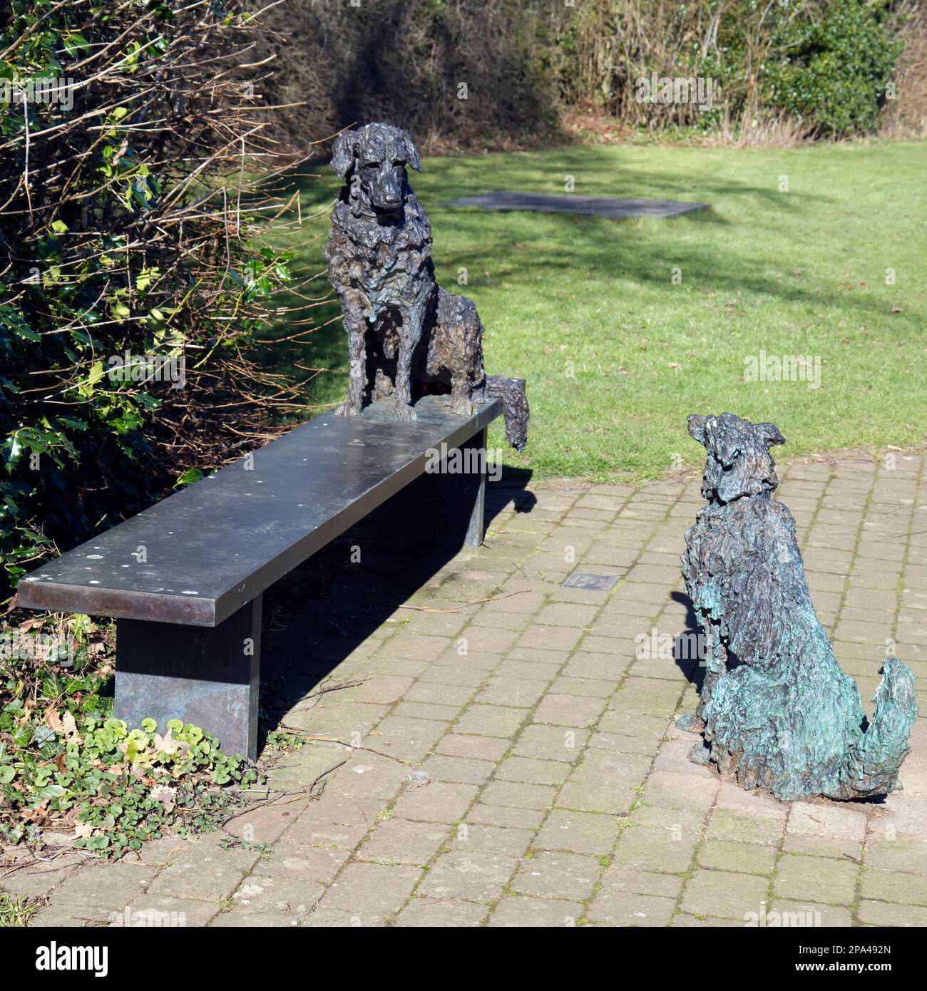 TWA Dugs, scultura in bronzo di due cani dell'artista Sally Matthews su Poets Path, Alloway, South Ayrshire, Scozia, Regno Unito Foto Stock