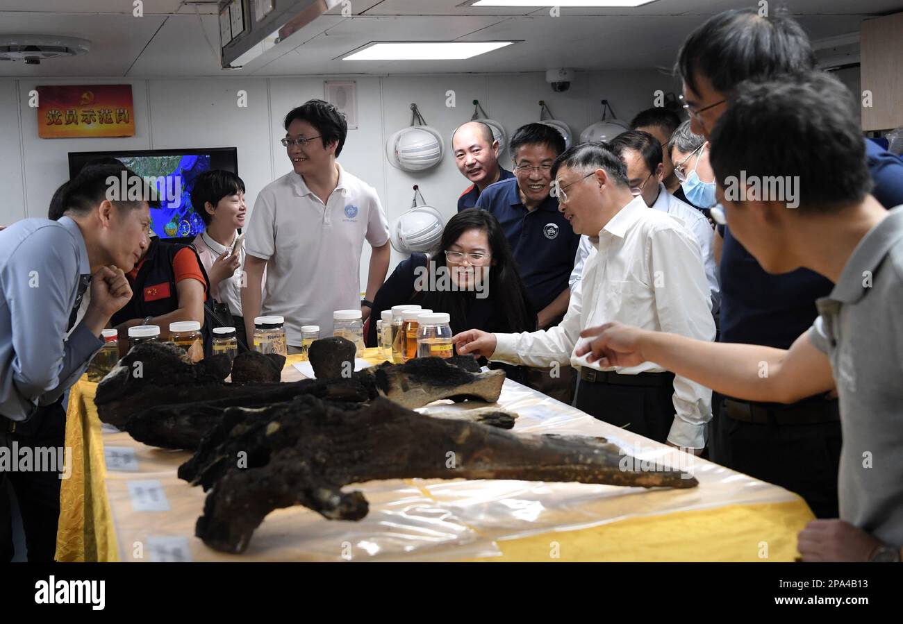 (230311) -- SANYA, 11 marzo 2023 (Xinhua) -- i ricercatori presentano campioni di macroorganismi abissali, rocce, concrezioni, sedimenti a Sanya, nella Provincia Hainan della Cina meridionale, il 11 marzo 2023. La nave di ricerca scientifica cinese Tansuo-1 è tornata sabato nella città di Sanya, nella provincia hainan del sud della Cina, dopo aver completato la sua prima missione internazionale di ricerca scientifica subacquea nelle acque circostanti l'Oceania. La nave, che trasportava il sommergibile Fendouzhe (Striver), ha iniziato la sua missione nell'ottobre 2022. Viaggiò per 157 giorni e navigò per oltre 22.000 miglia nautiche Foto Stock