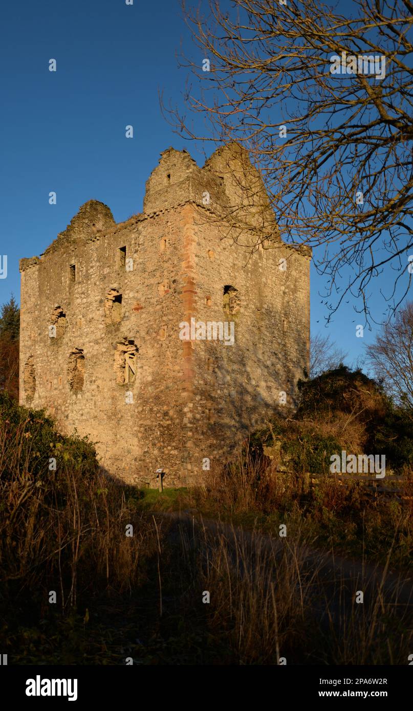 Le rovine del castello di Newark in Scottish Borders Foto Stock