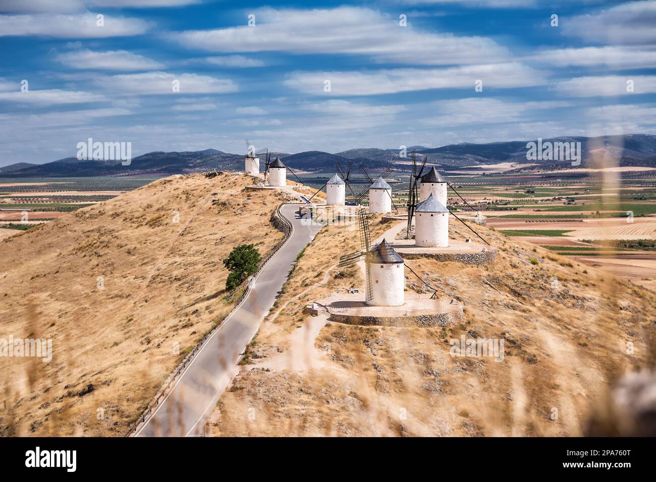 Serie di mulino a vento di Consuegra sulla collina, in primo piano gambi di erba secca fuori fuoco e sullo sfondo la pianura di la Mancha (Spagna) Foto Stock
