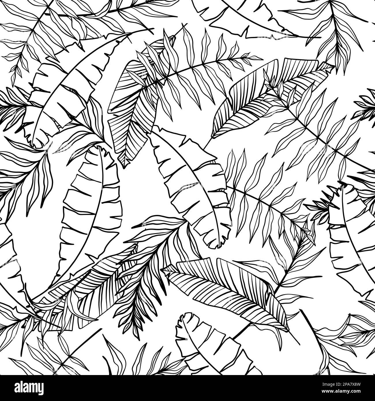 Vettore di foglie tropicali senza giunture. Palm lascia sfondo Illustrazione Vettoriale