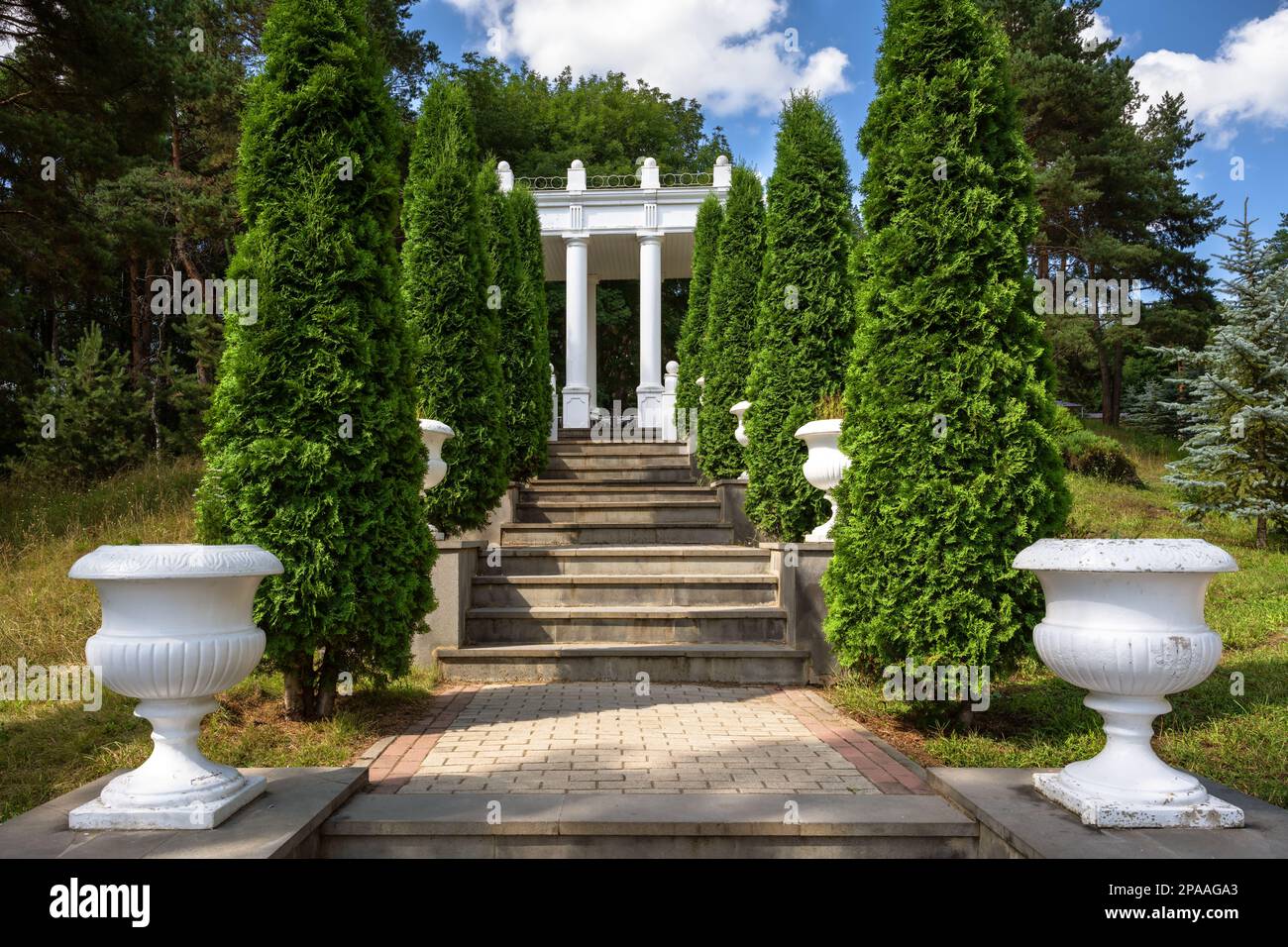 Vecchio arbor nel parco di ricorso in estate, Kislovodsk, Stavropol Krai, Russia. Paesaggio di luogo turistico, bellissimo giardino paesaggistico verde. Tema di natu Foto Stock