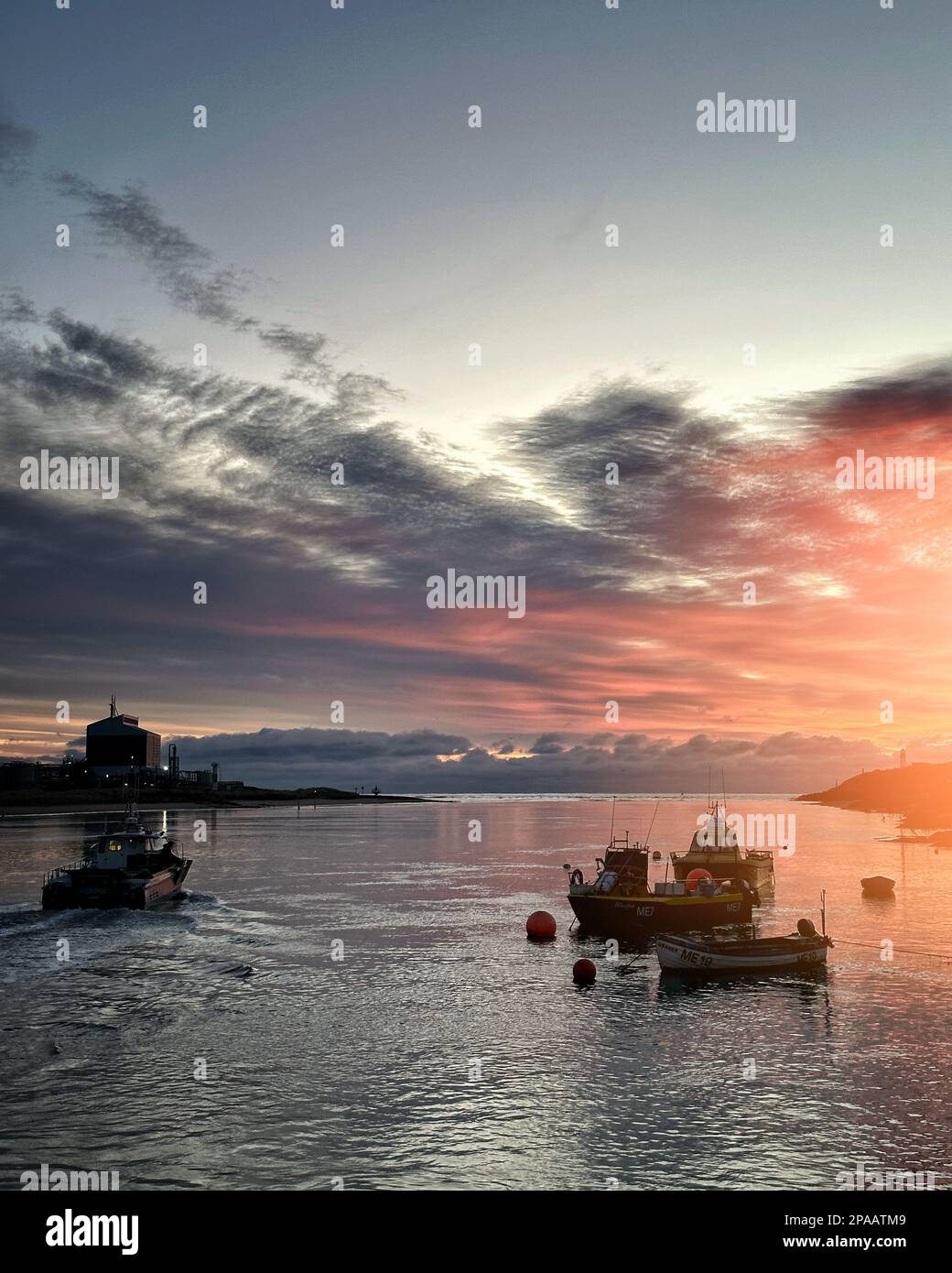 Pescherecci, Sunrise, porto di Montrose, Scozia Foto Stock