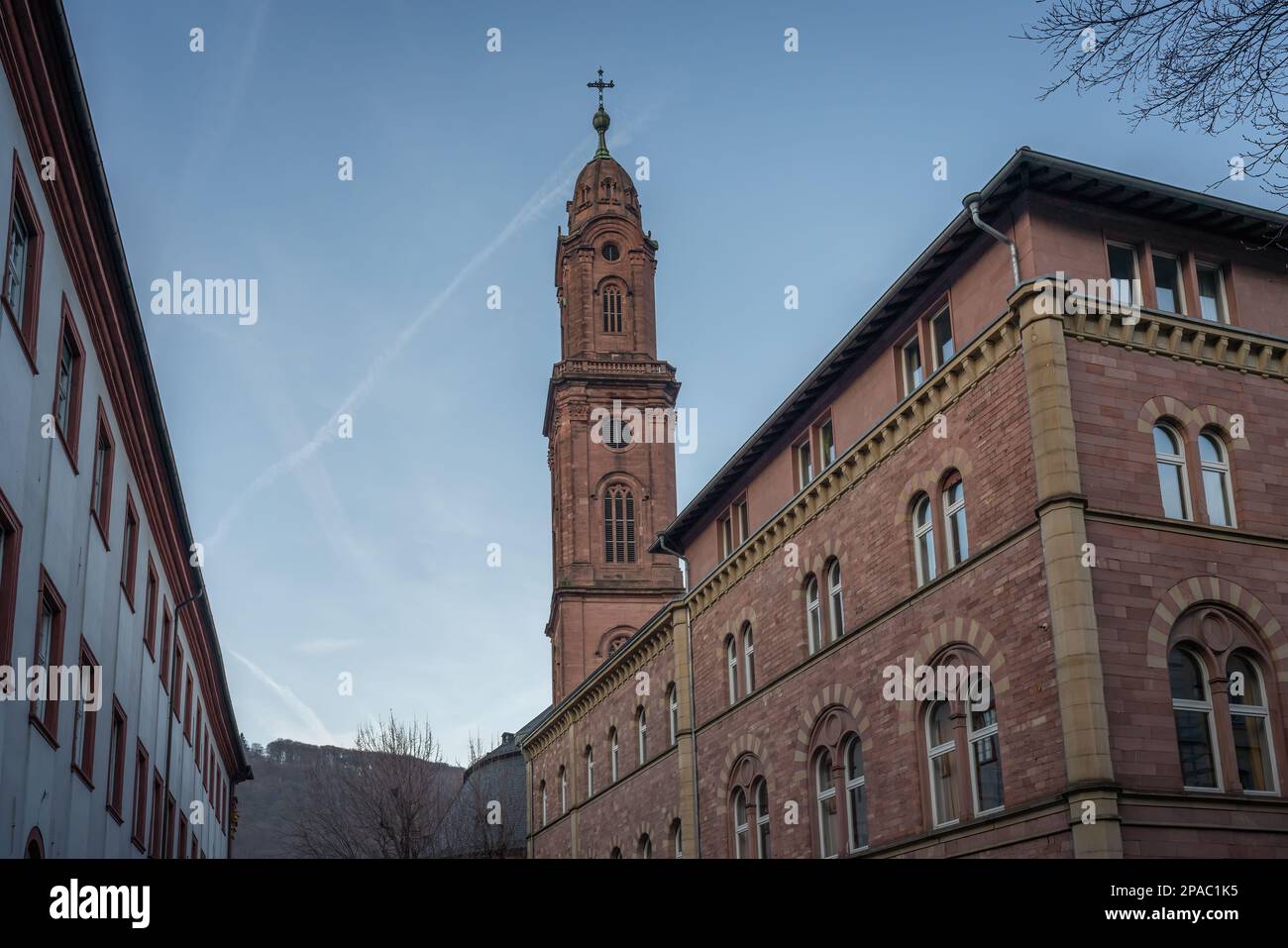 Jesuitenkirche - Heidelberg, Germania Foto Stock
