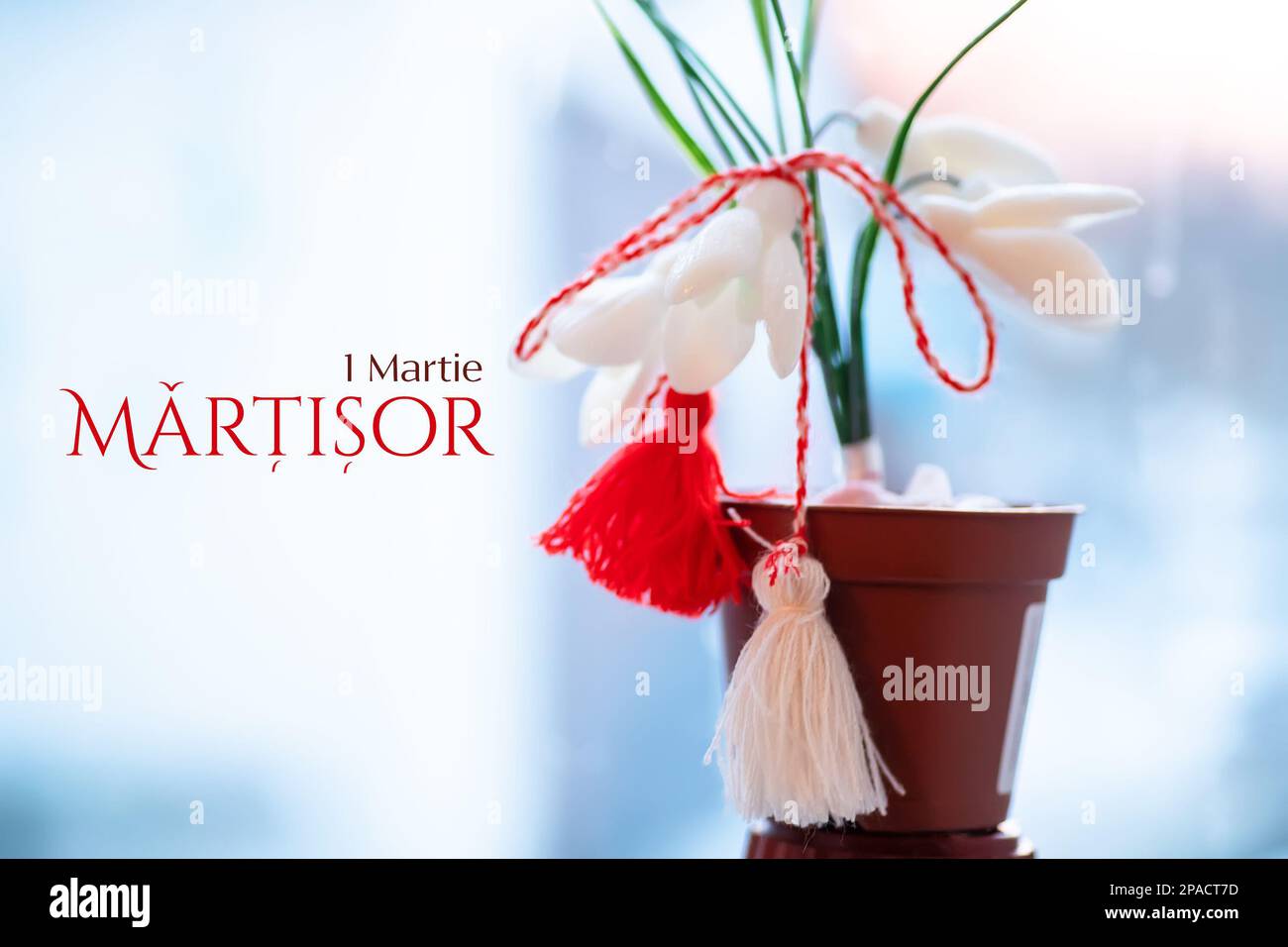 Snowdrops con martisor talisman, accessorio tradizionale per il Festival di Primavera o Baba Marta nei paesi balcanici Foto Stock